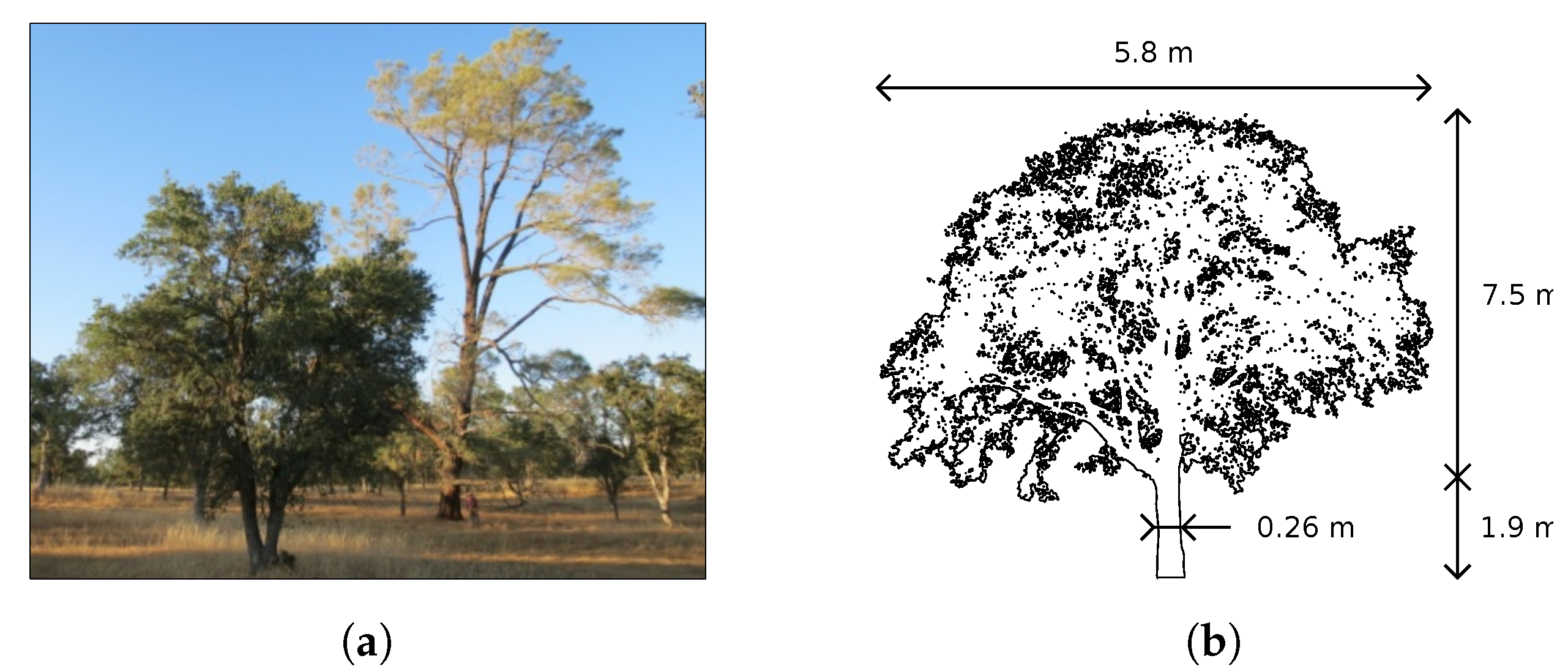 Remotesensing 12 02925 g002 Remotesensing 12 02925 g002