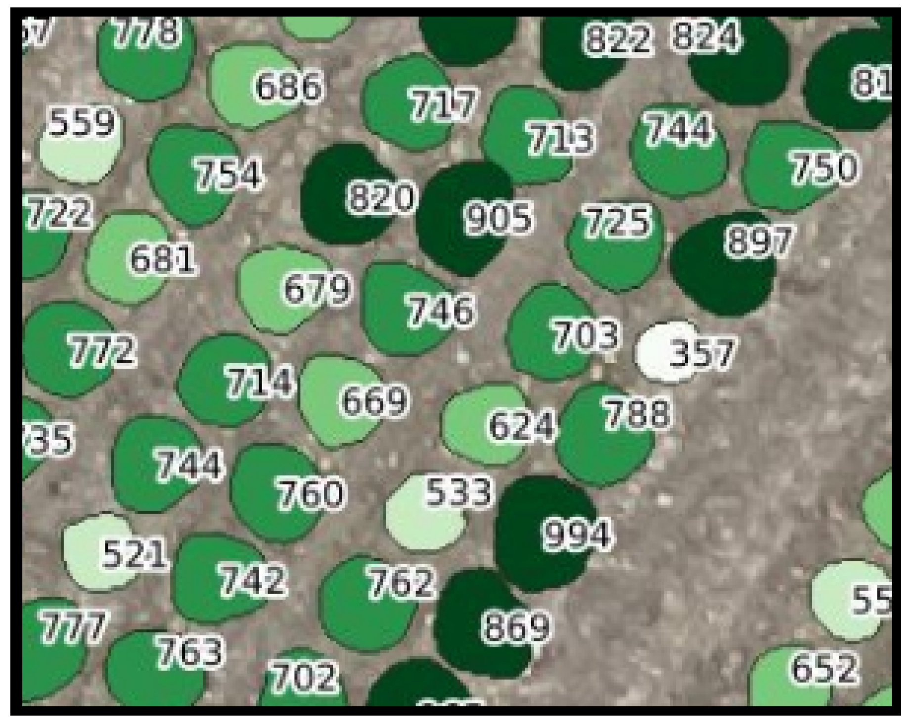 Remotesensing 12 03015 g007