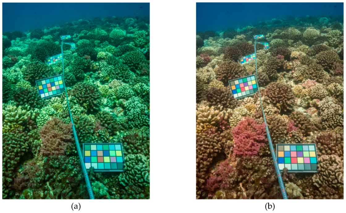 Remotesensing 12 03036 g009 Remotesensing 12 03036 g009