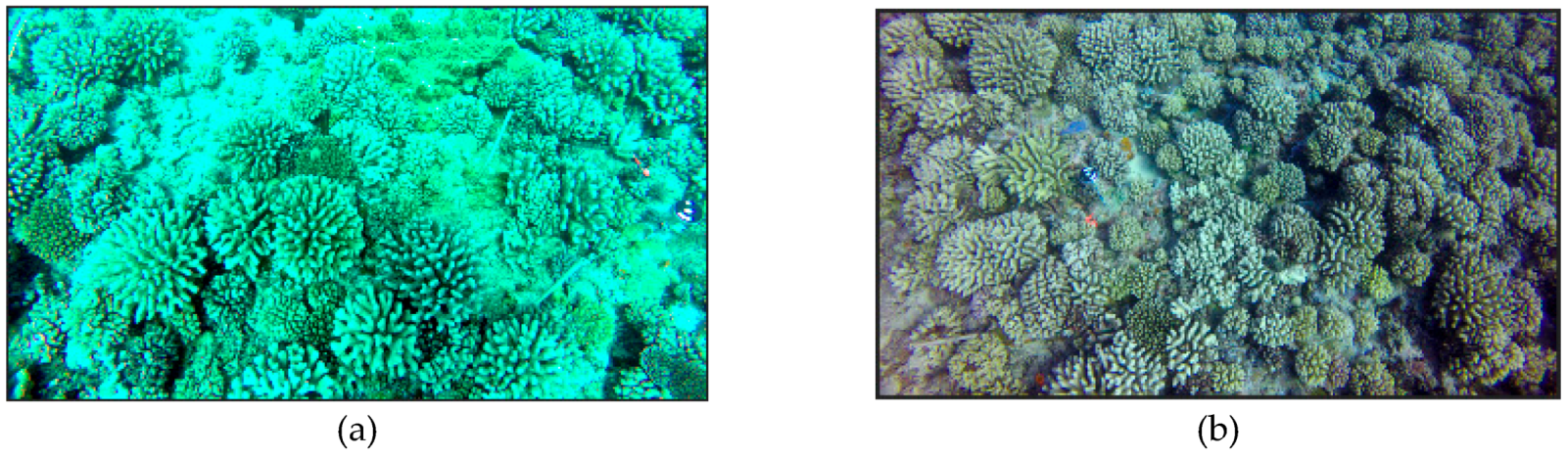 Remotesensing 12 03036 g010 Remotesensing 12 03036 g010
