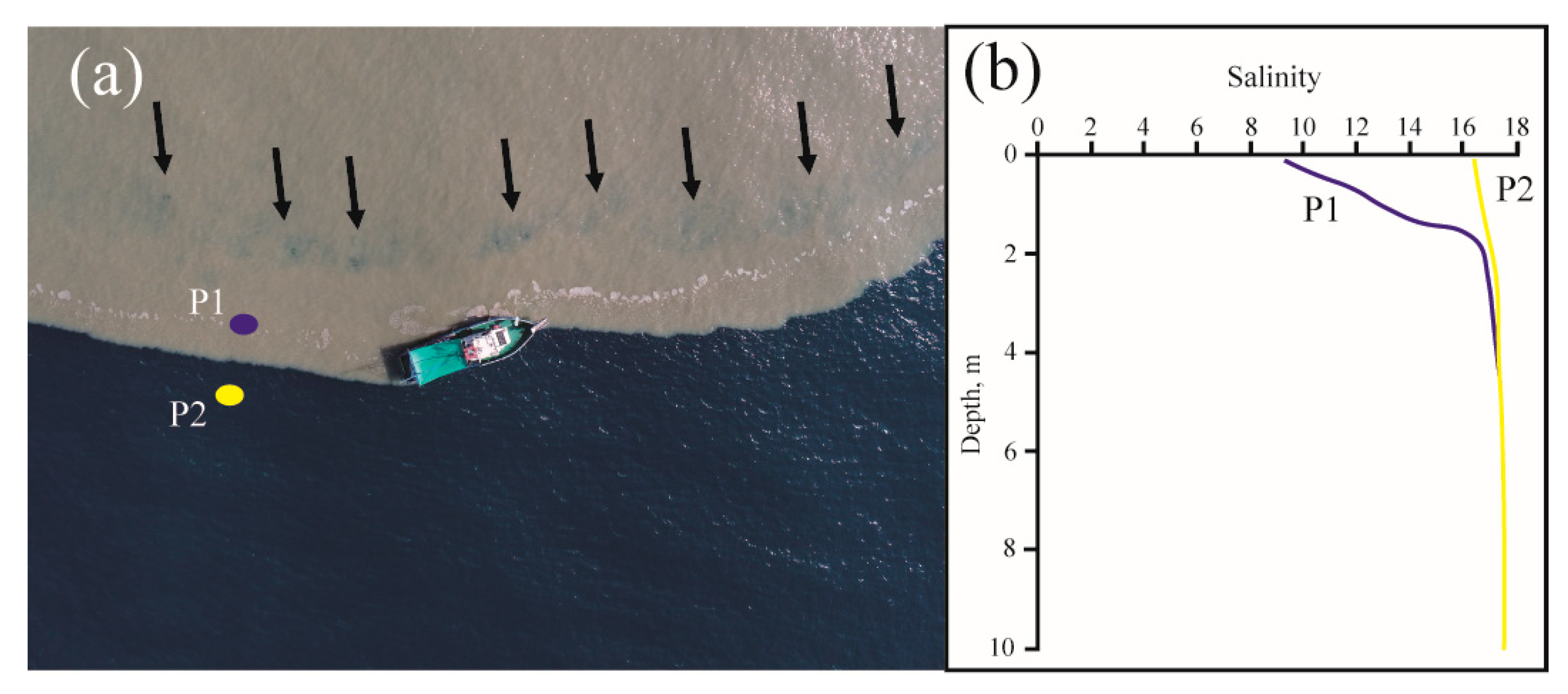 Remotesensing 12 03079 g015 Remotesensing 12 03079 g015