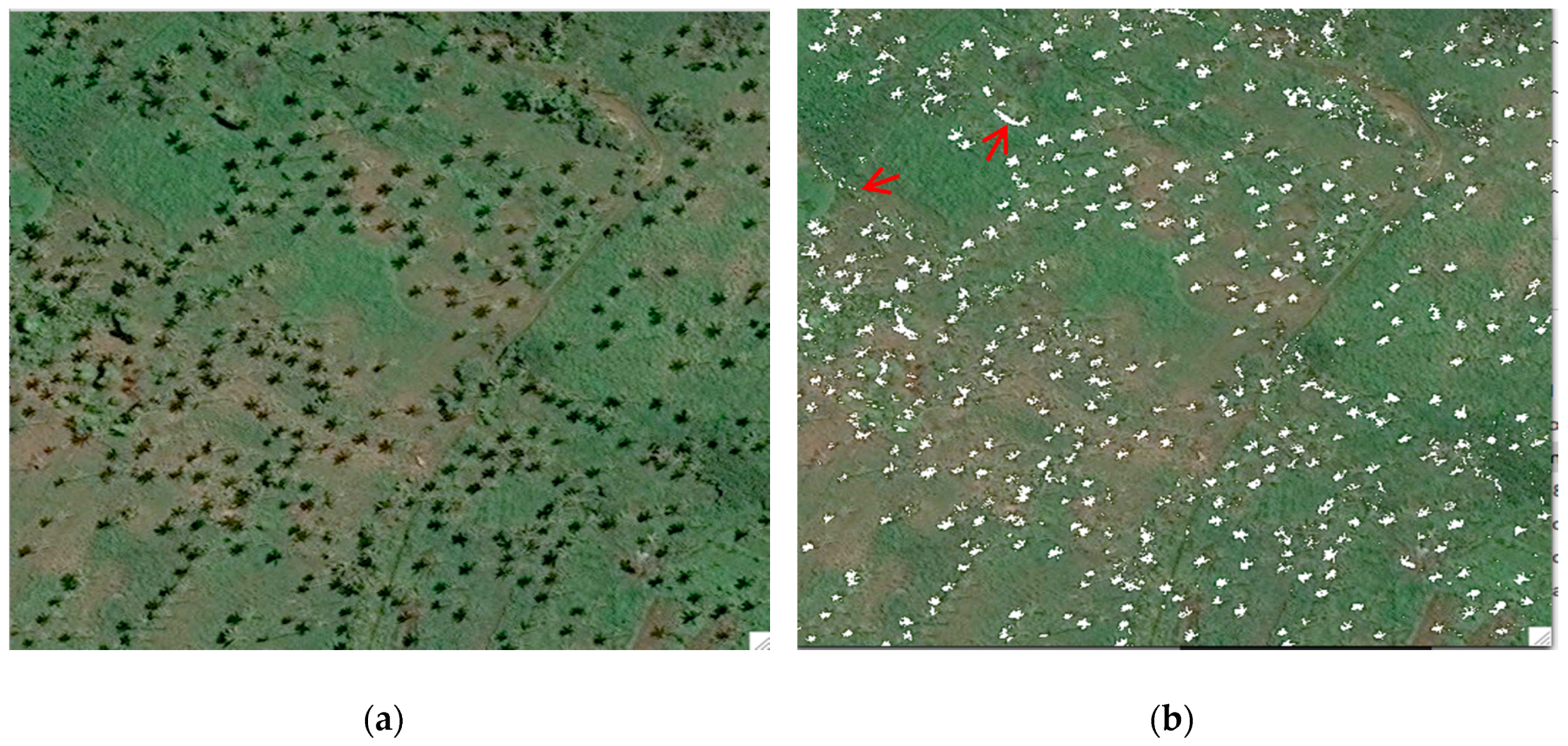 Remotesensing 12 03113 g001