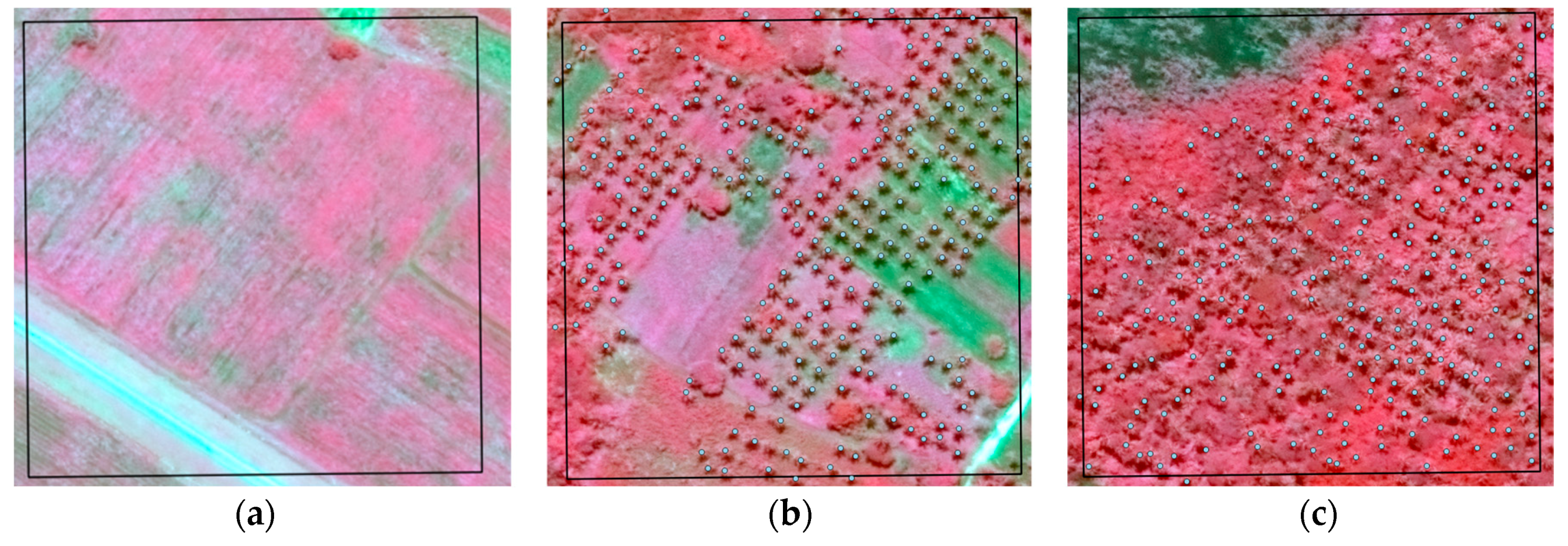 Remotesensing 12 03113 g006