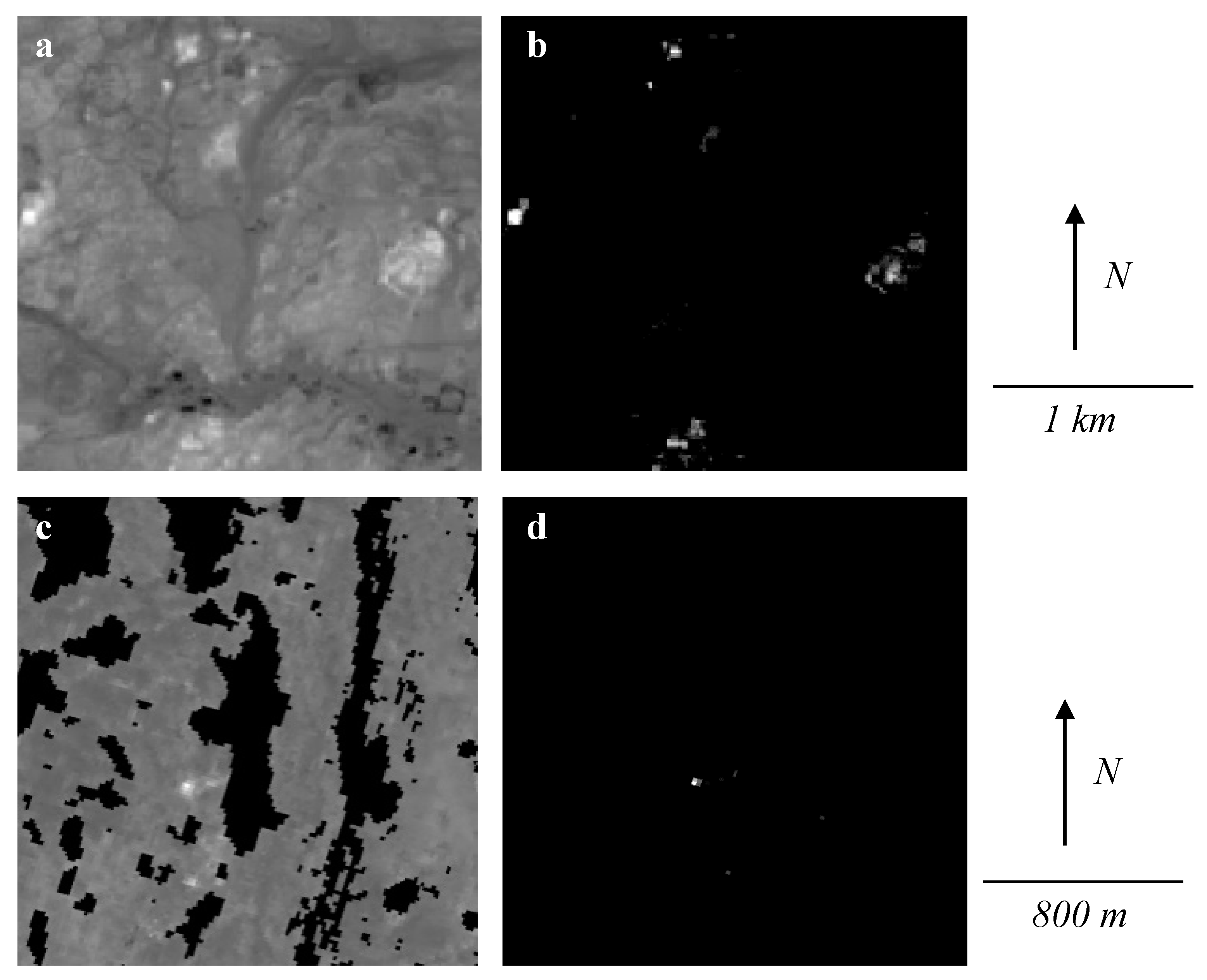 Remotesensing 12 03123 g009
