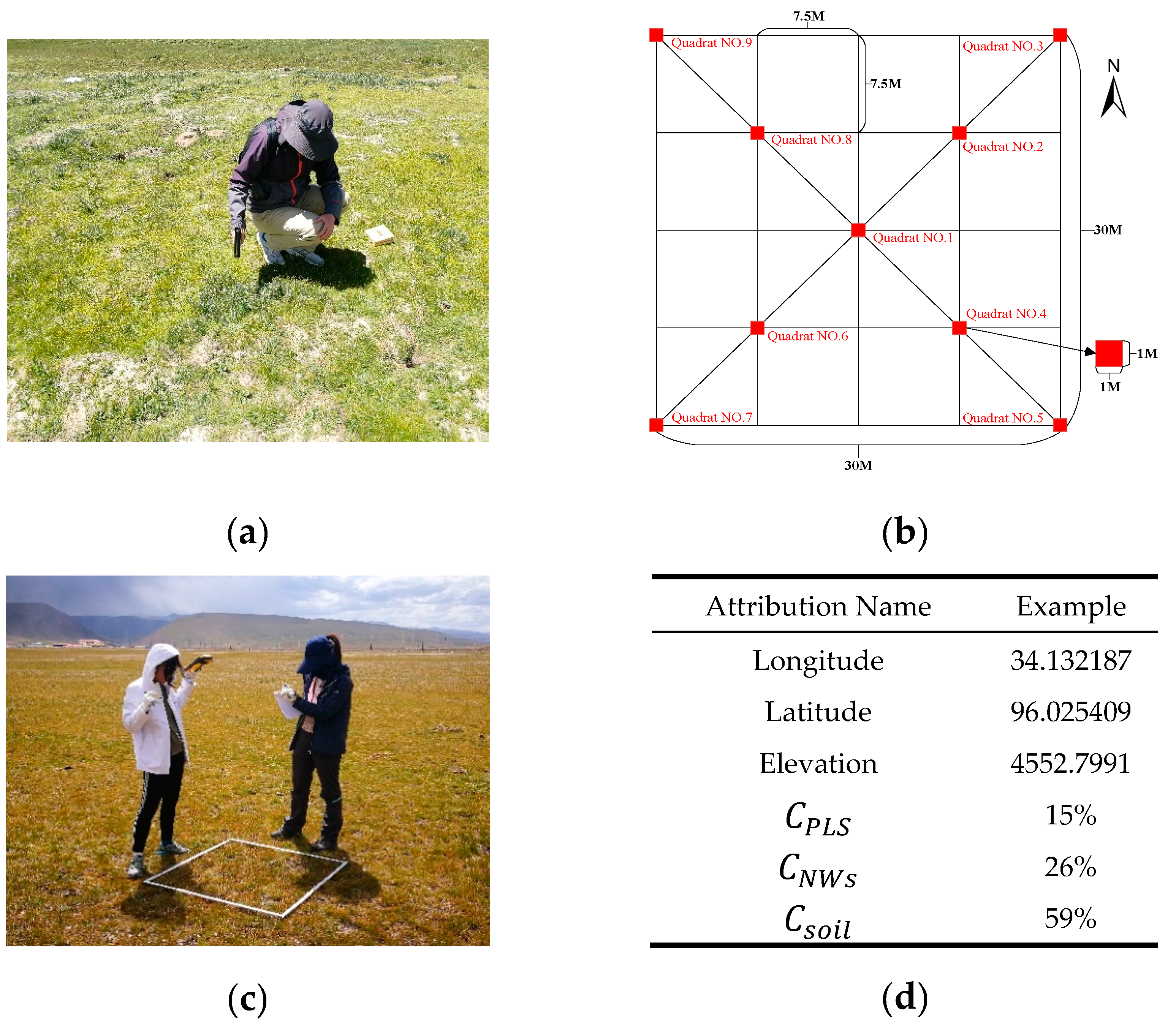 Remotesensing 12 03146 g002