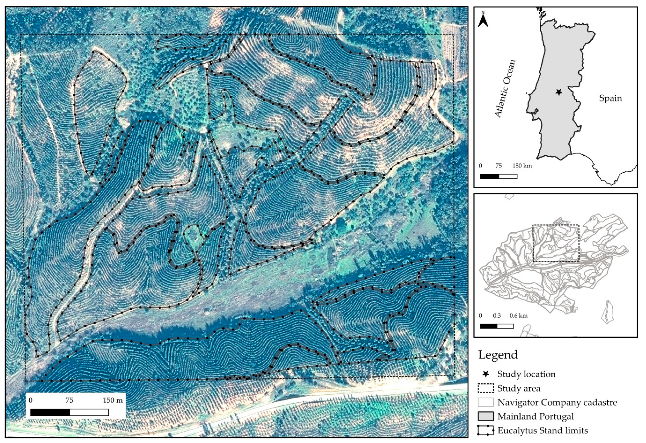 Remotesensing 12 03153 g001
