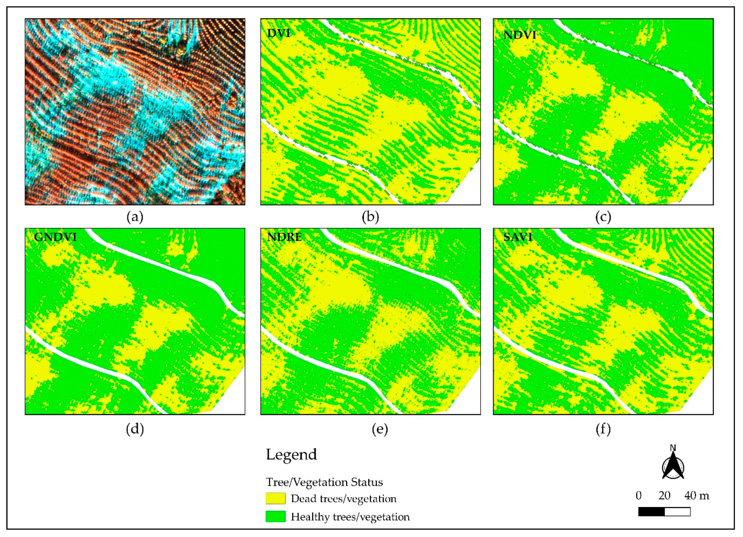Remotesensing 12 03153 g008