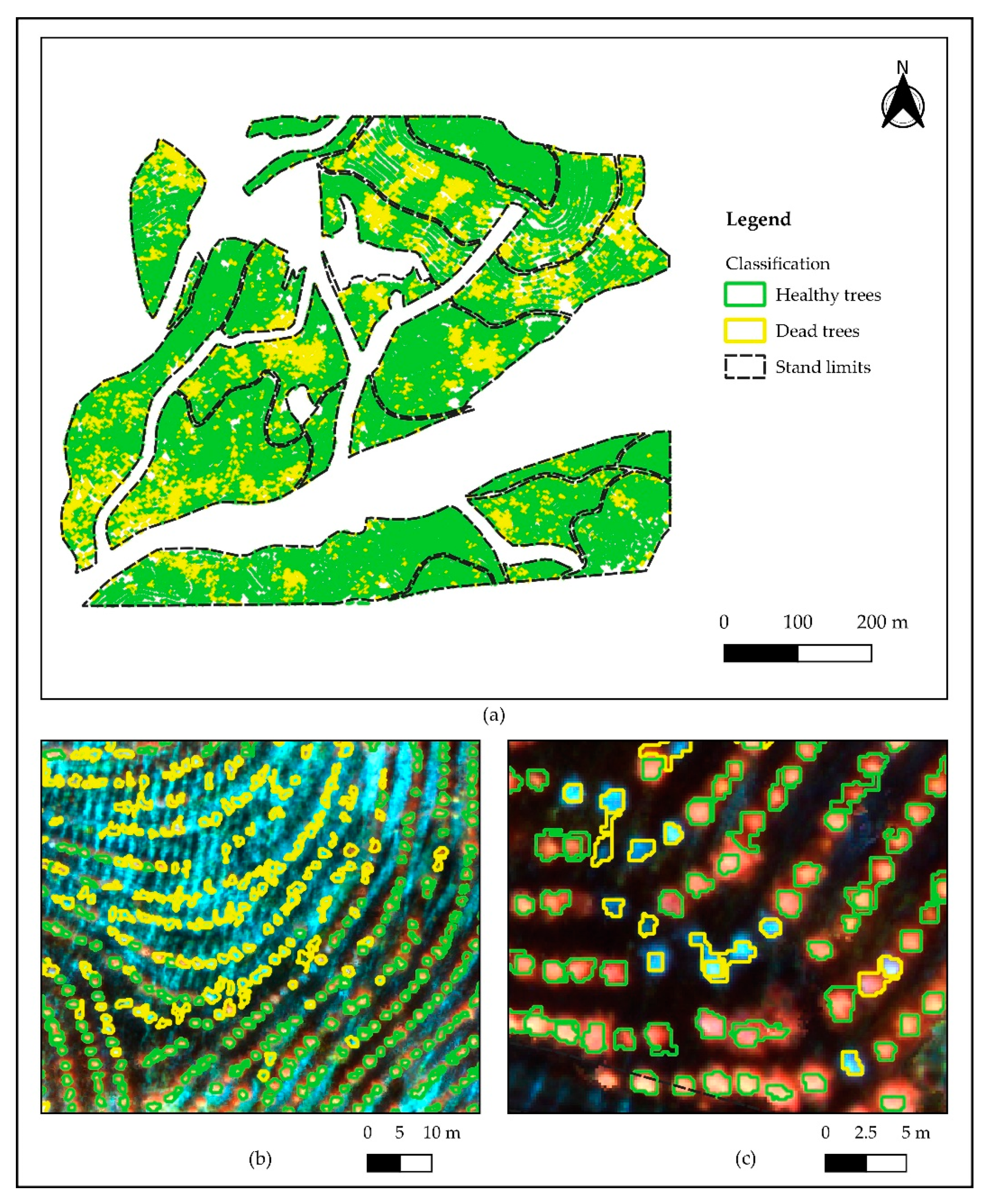 Remotesensing 12 03153 g009