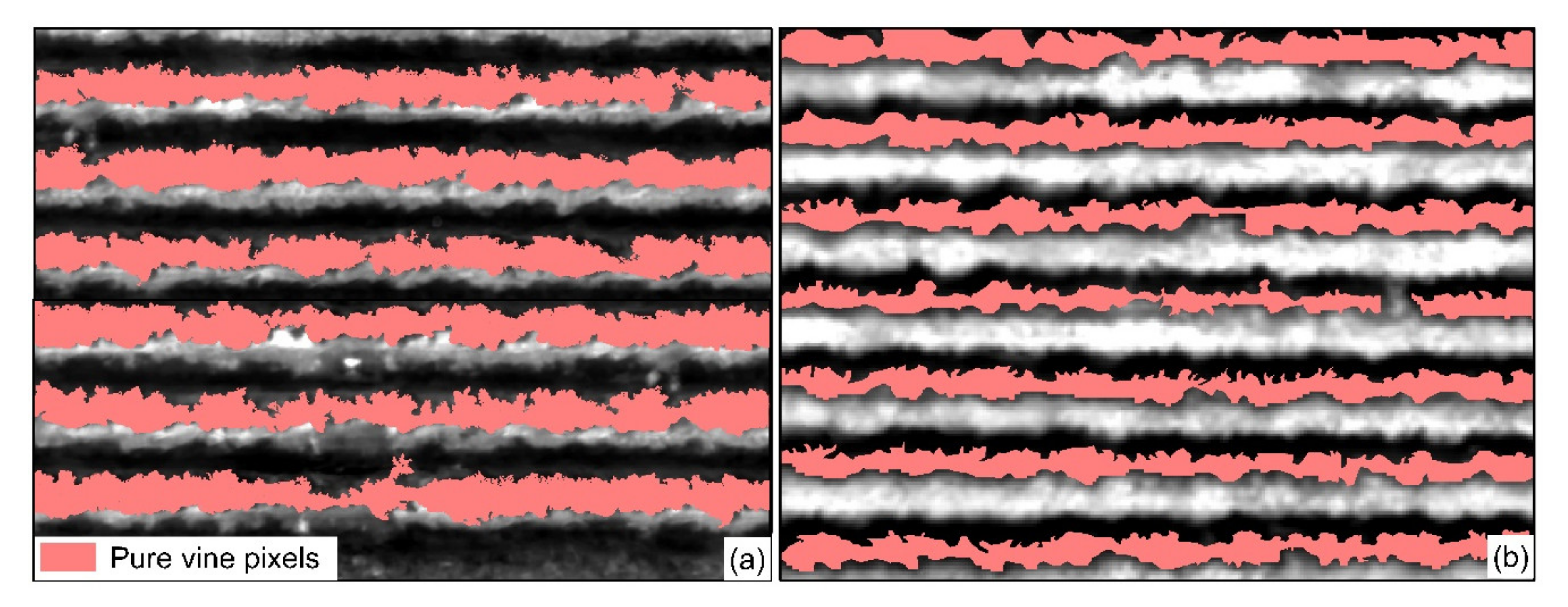 Remotesensing 12 03216 g004 Remotesensing 12 03216 g004