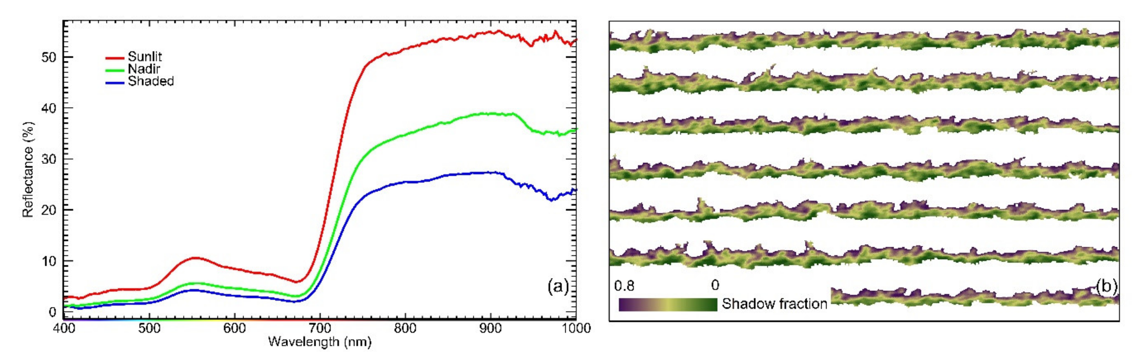 Remotesensing 12 03216 g005 Remotesensing 12 03216 g005