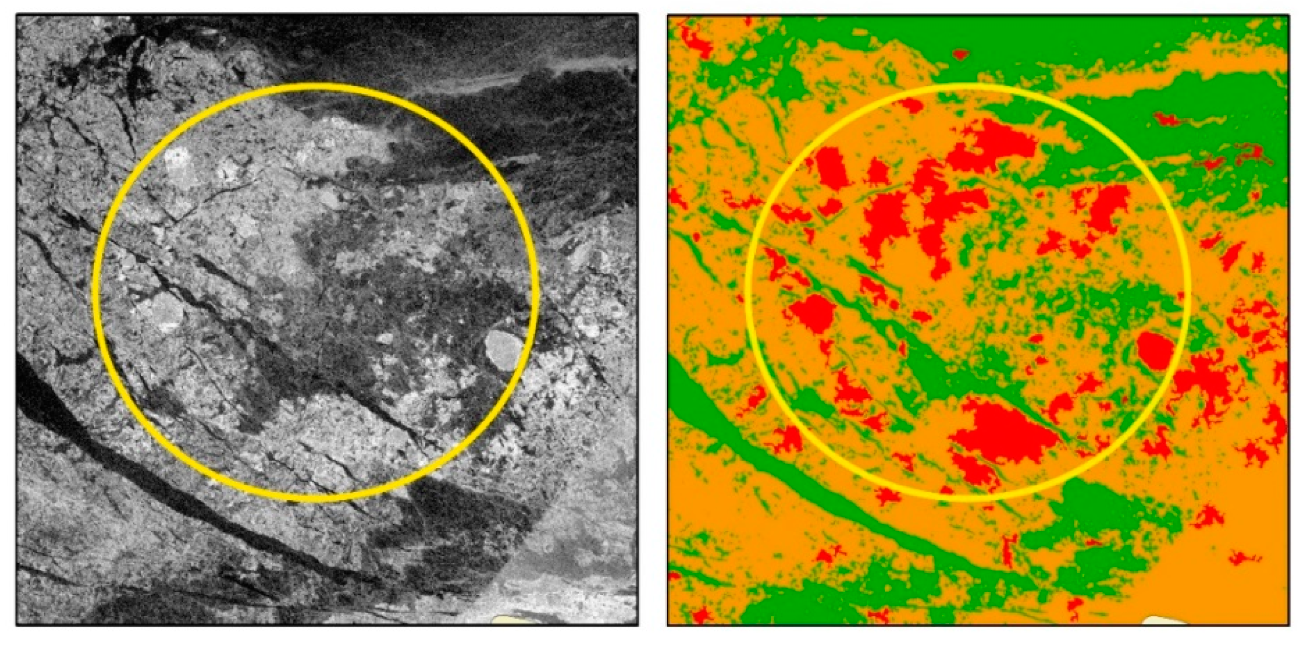 Remotesensing 12 03221 g008