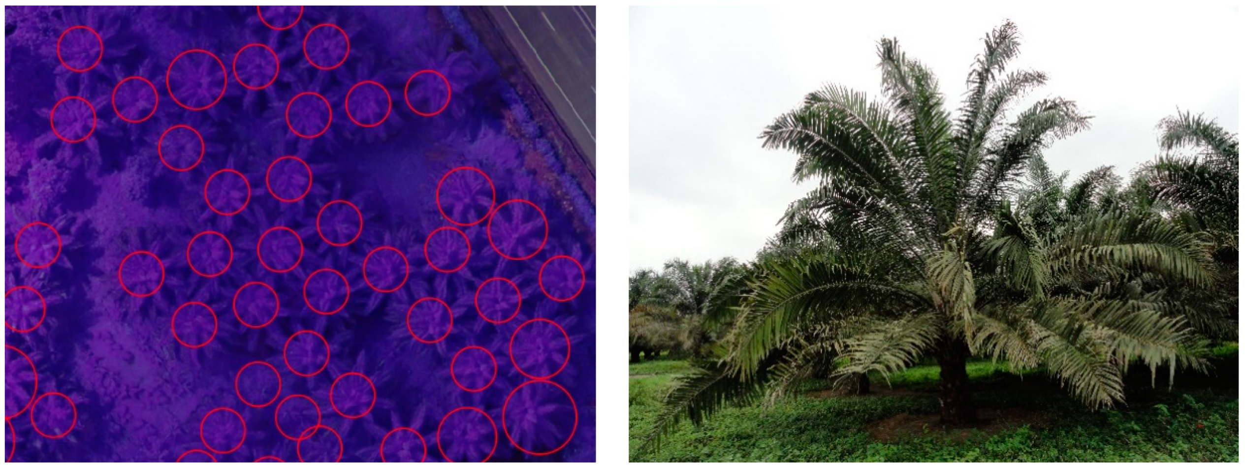 Remotesensing 12 03229 g005