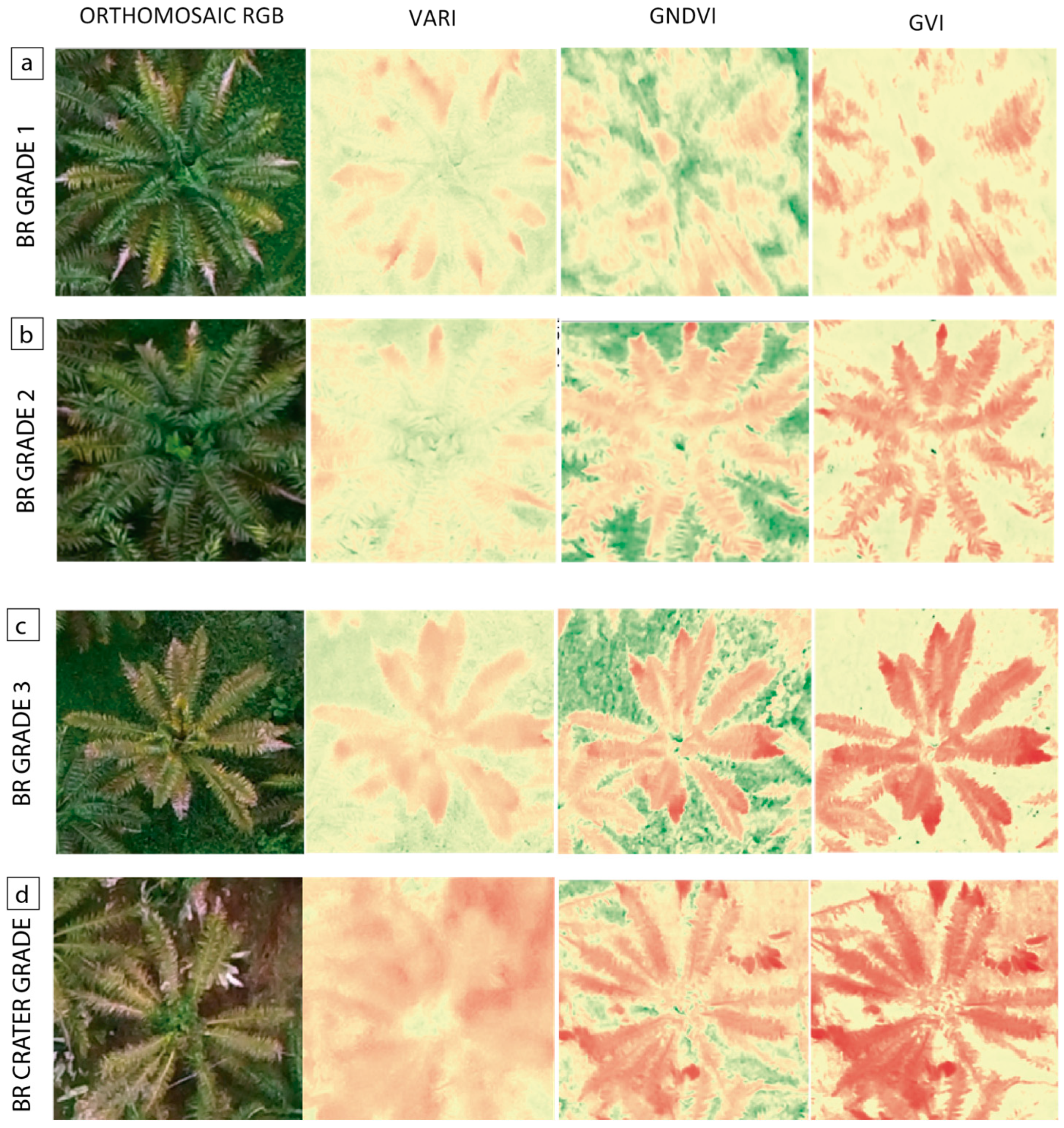 Remotesensing 12 03229 g007a