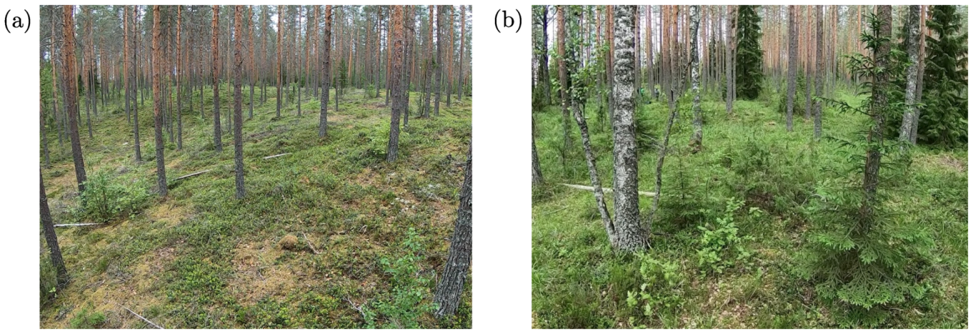 Remotesensing 12 03327 g001 Remotesensing 12 03327 g001