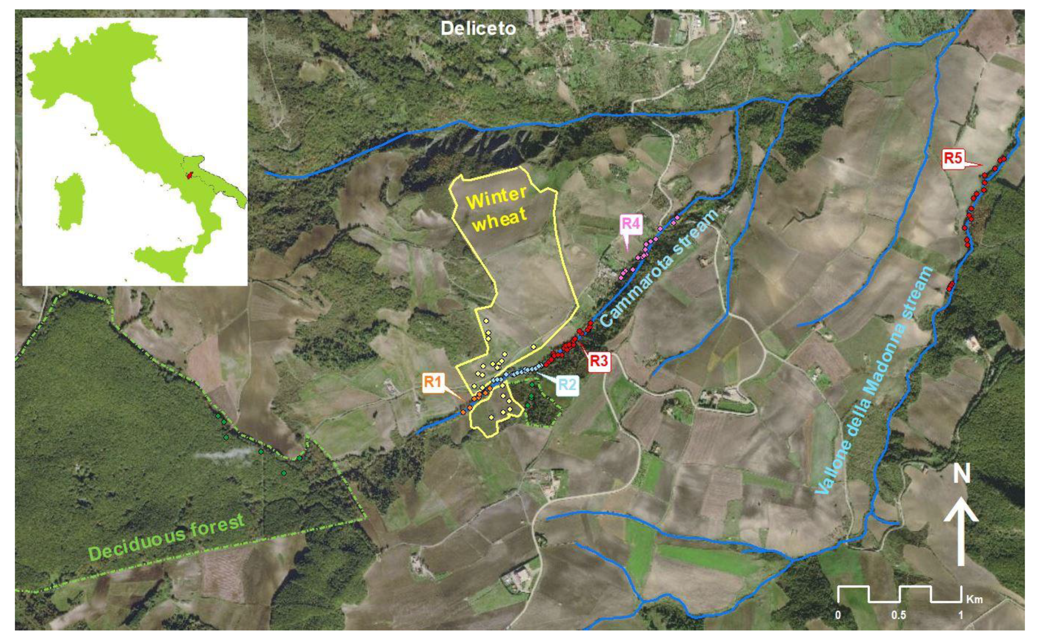 Remotesensing 12 03376 g001