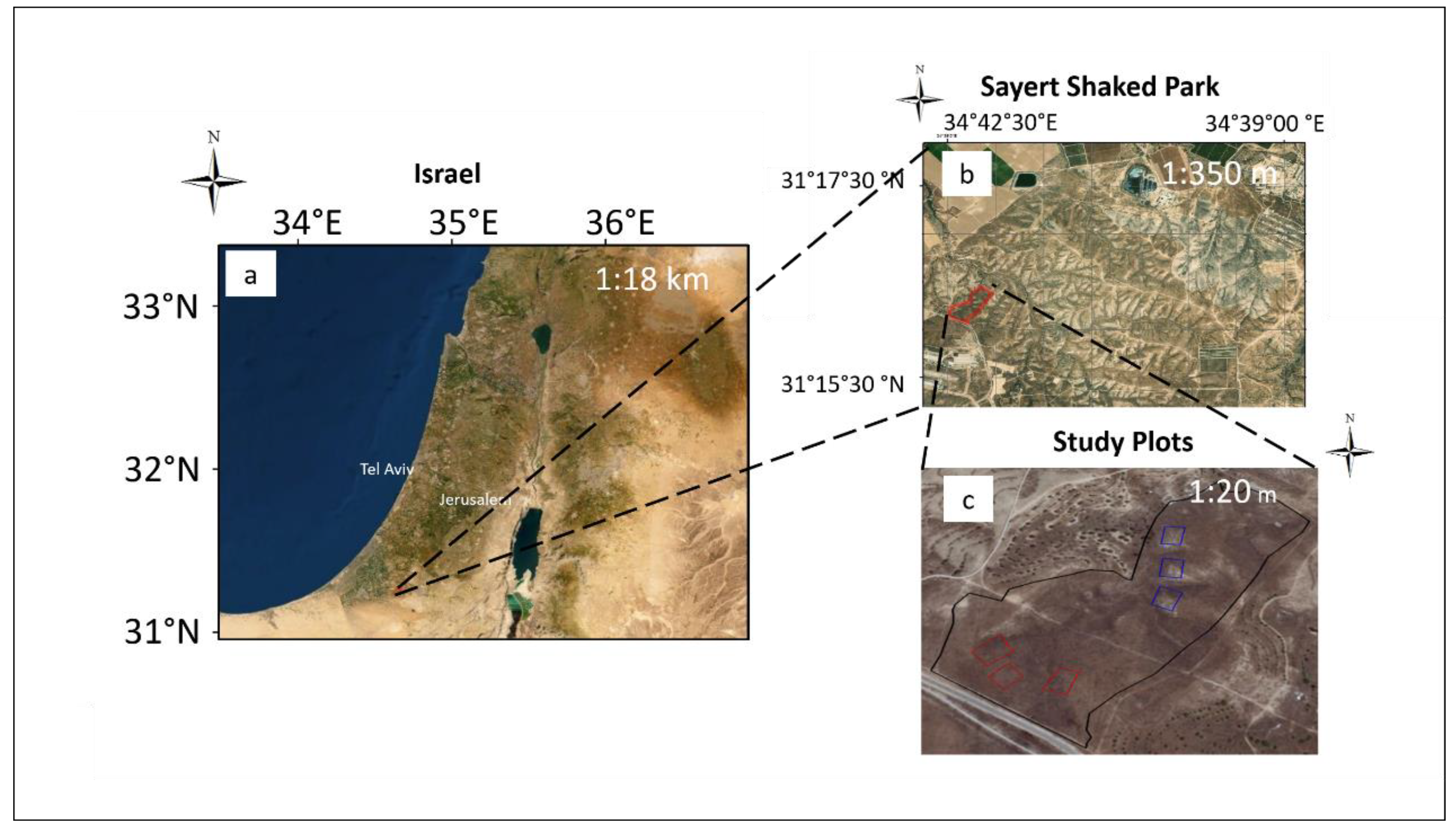 Remotesensing 12 03377 g002