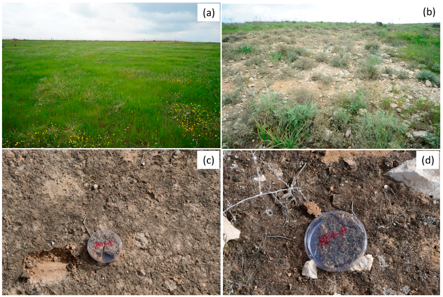 Remotesensing 12 03377 g003