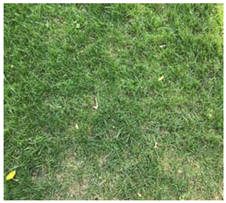 Remotesensing 12 03393 i010 Remotesensing 12 03393 i010