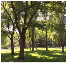 Remotesensing 12 03393 i014 Remotesensing 12 03393 i014