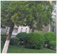 Remotesensing 12 03393 i015 Remotesensing 12 03393 i015