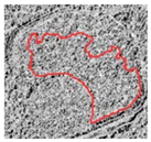 Remotesensing 12 03393 i018 Remotesensing 12 03393 i018