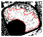 Remotesensing 12 03393 i019 Remotesensing 12 03393 i019