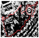 Remotesensing 12 03393 i033 Remotesensing 12 03393 i033