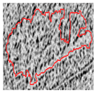 Remotesensing 12 03393 i038 Remotesensing 12 03393 i038