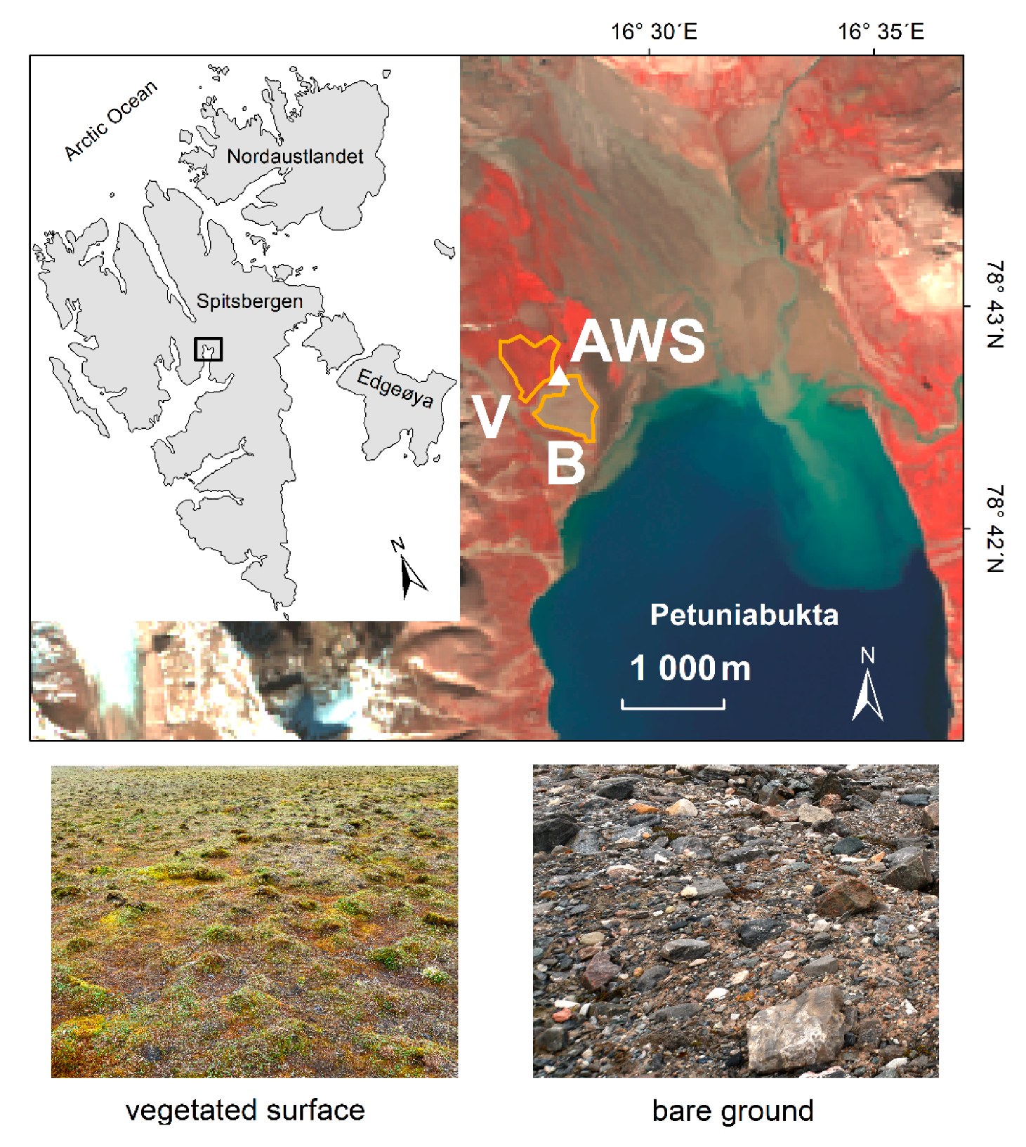 Remotesensing 12 03395 g001
