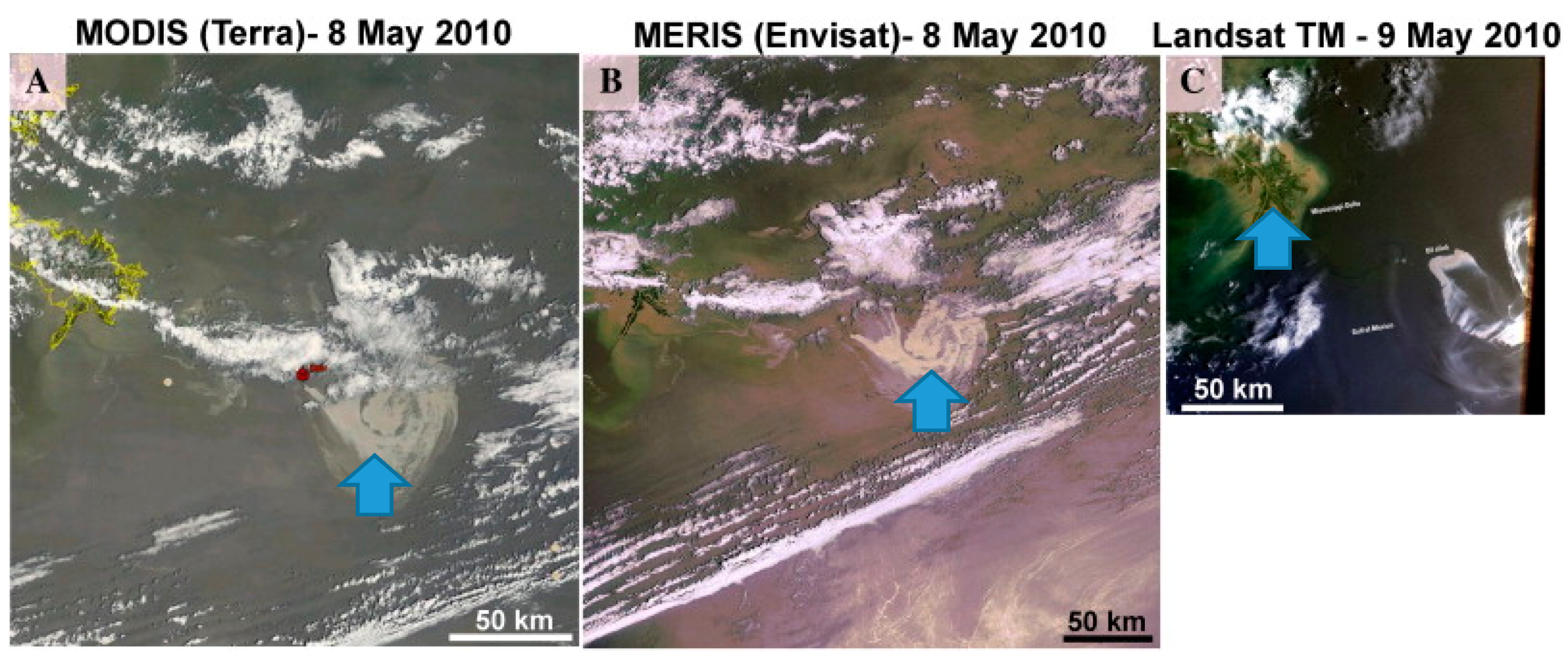 Remotesensing 12 03416 g004