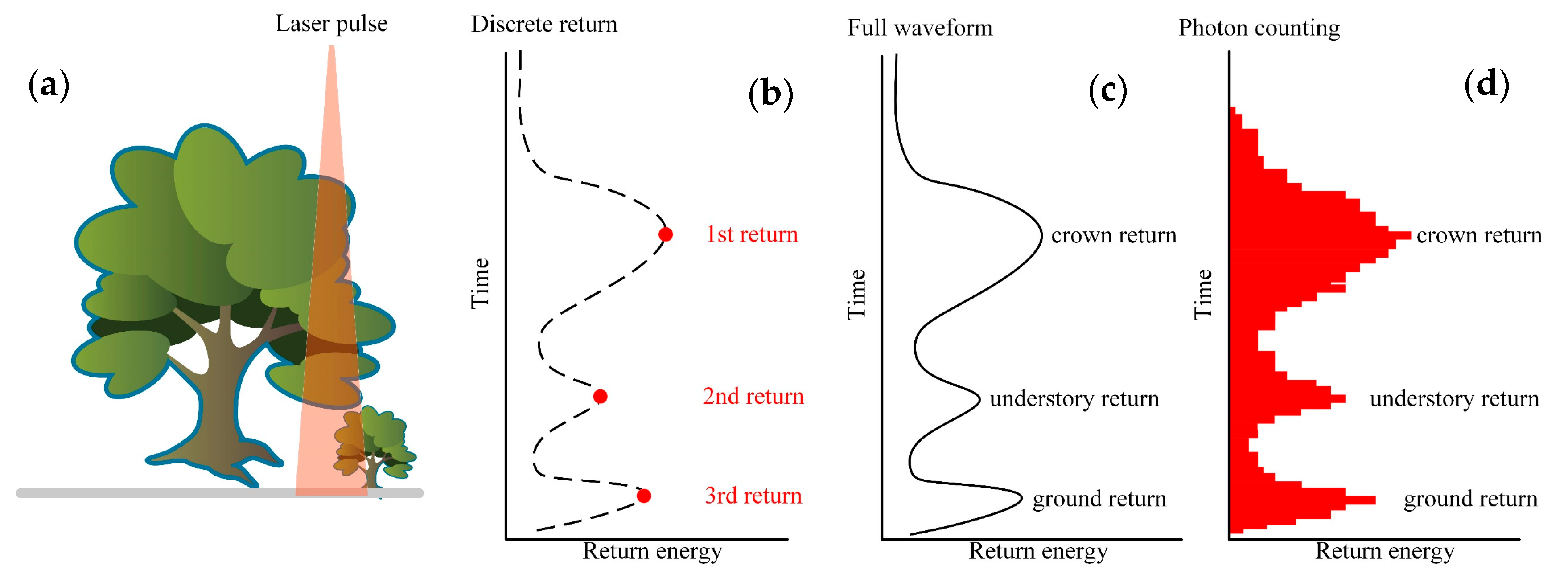 Remotesensing 12 03457 g001