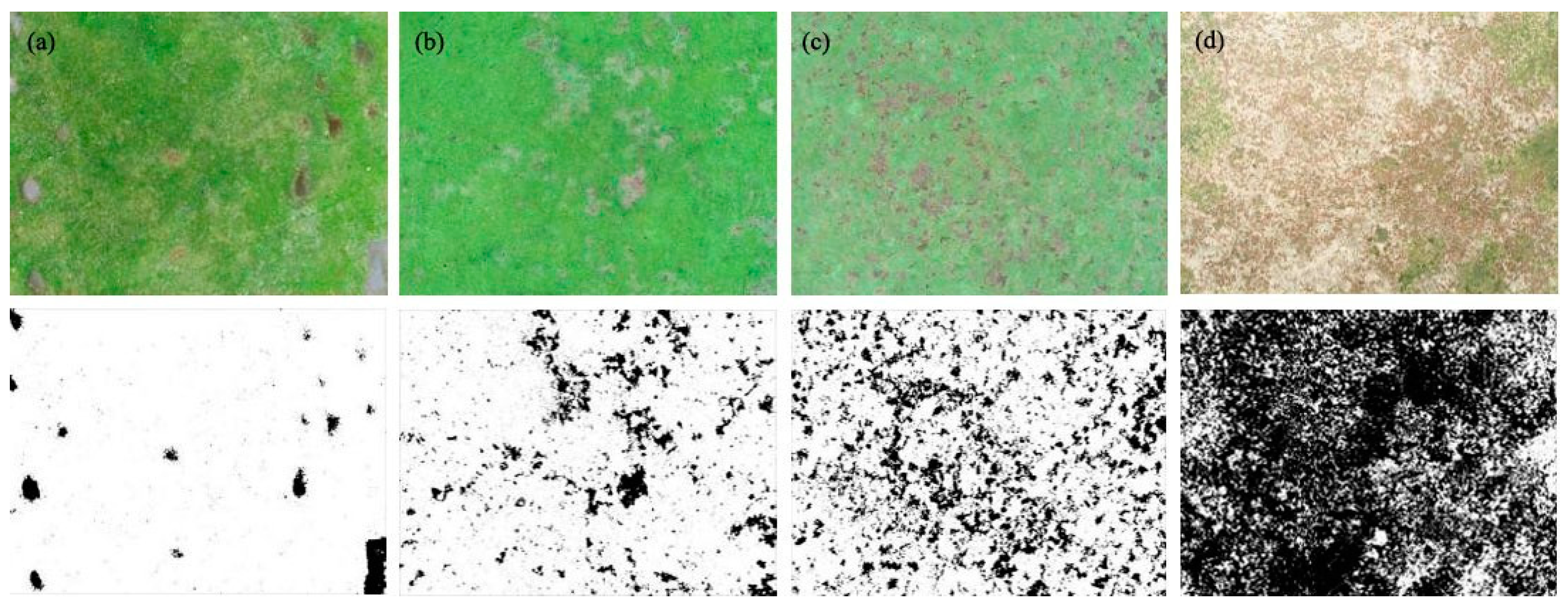 Remotesensing 12 03460 g006 Remotesensing 12 03460 g006