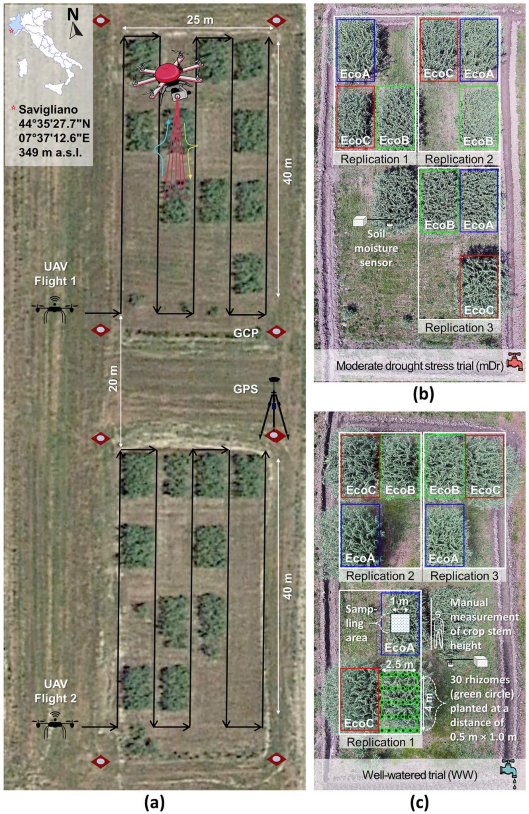 Remotesensing 12 03464 g001