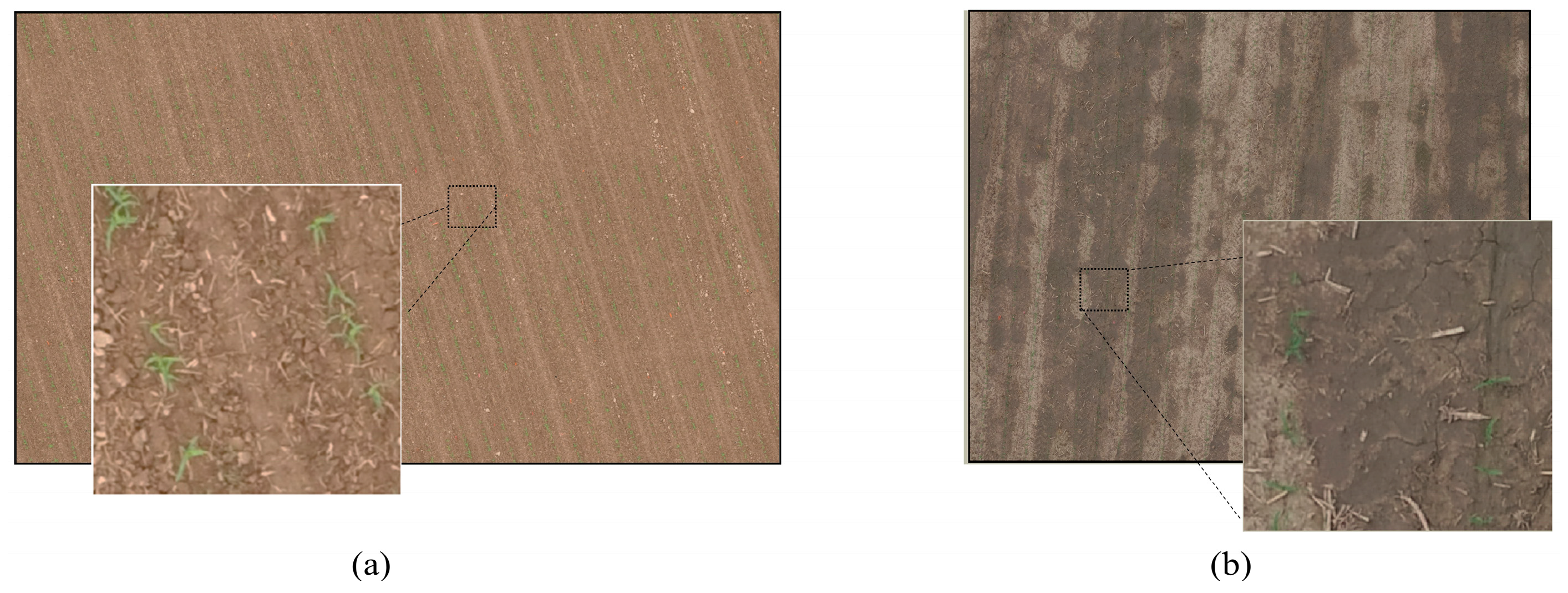 Remotesensing 12 03521 g006