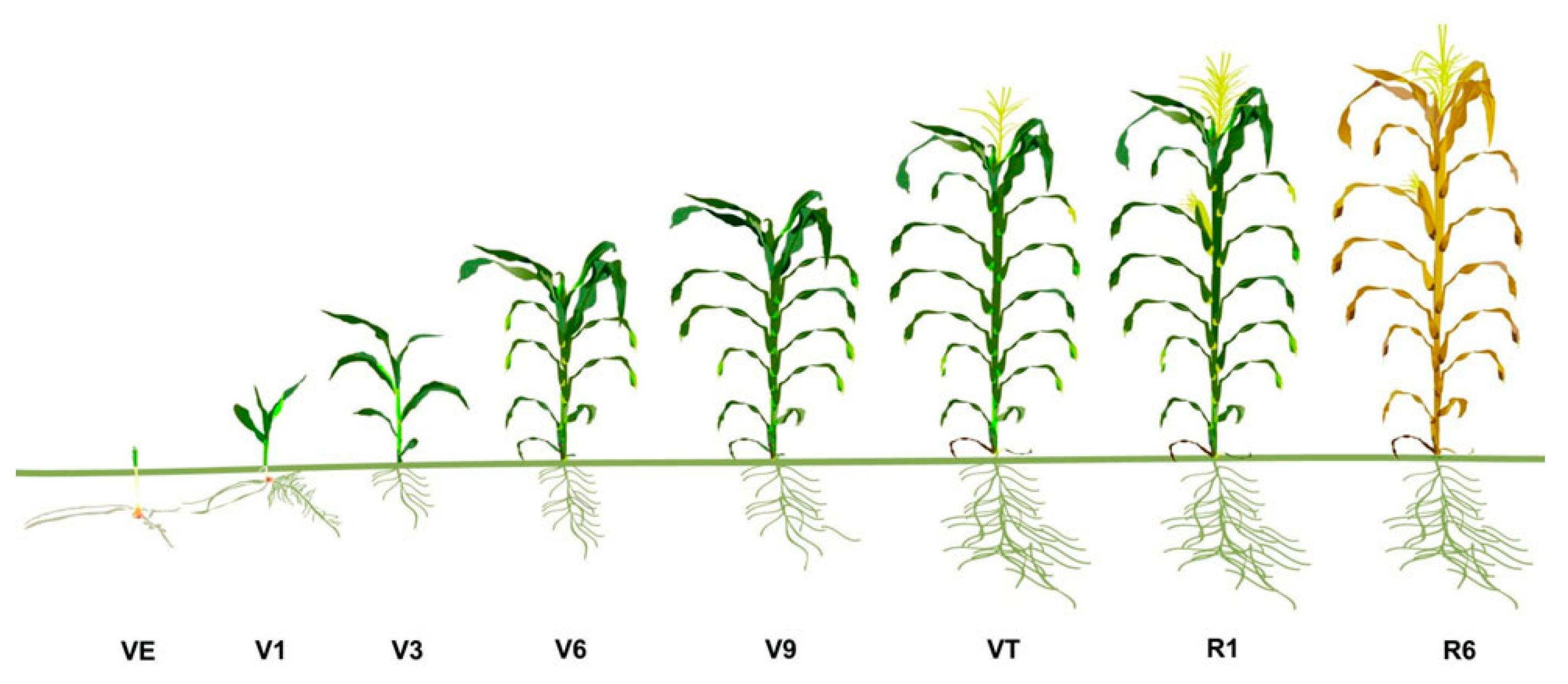 Remotesensing 12 03521 g007