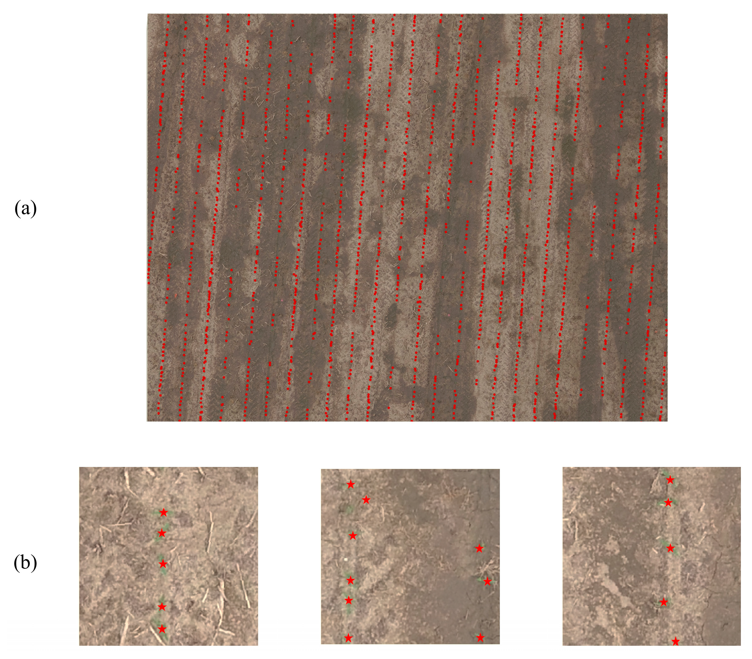 Remotesensing 12 03521 g011