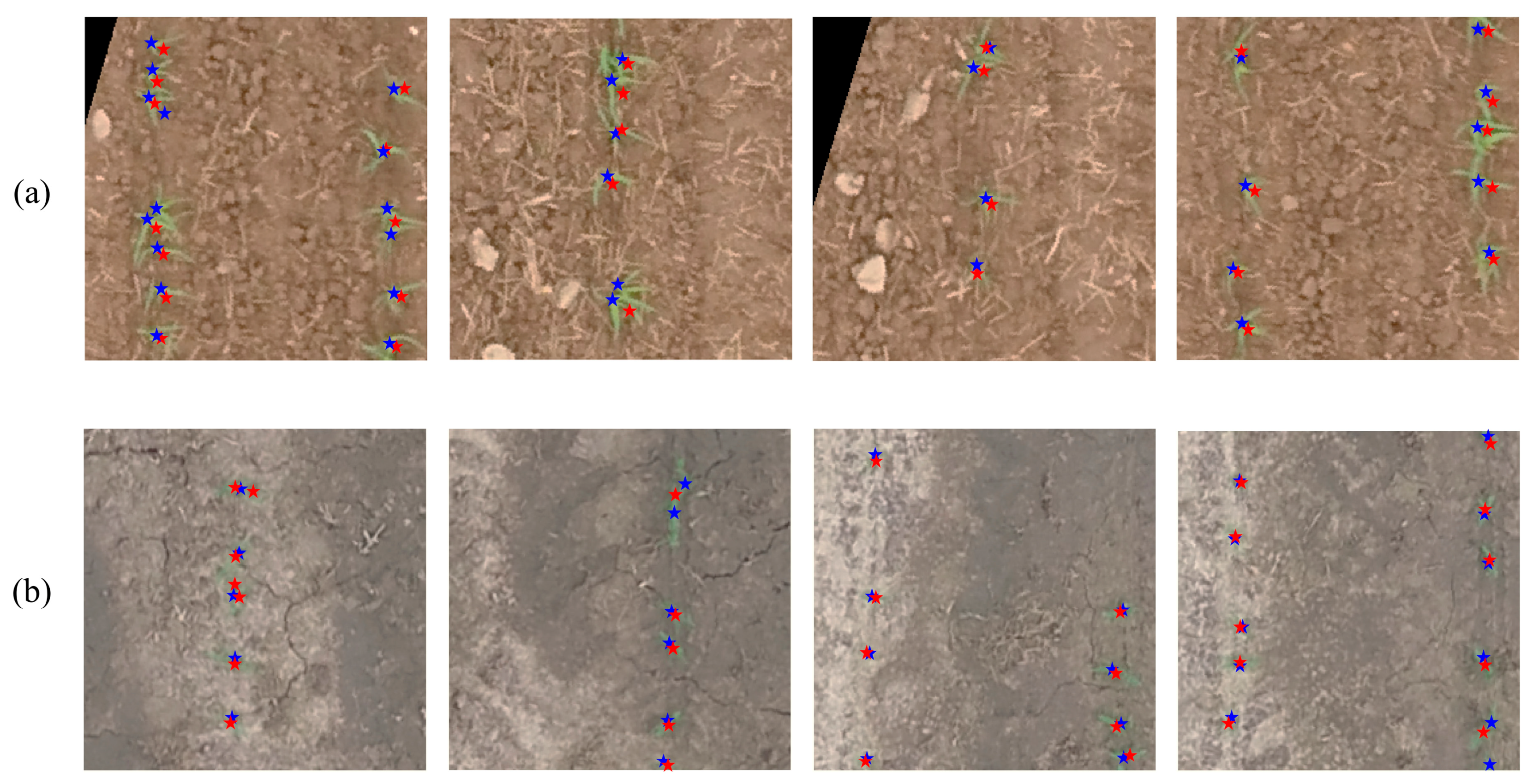 Remotesensing 12 03521 g012