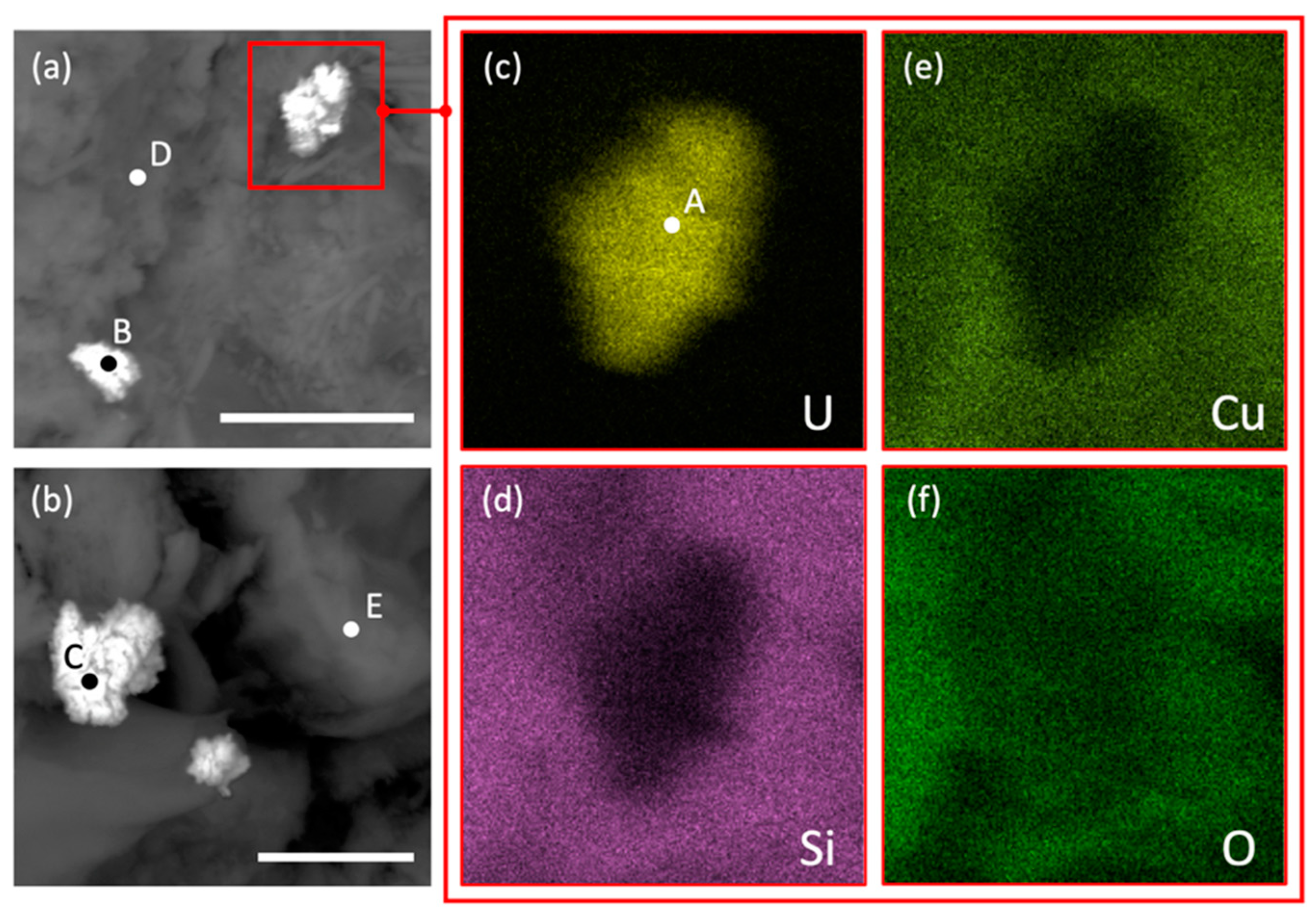 Remotesensing 12 03562 g006