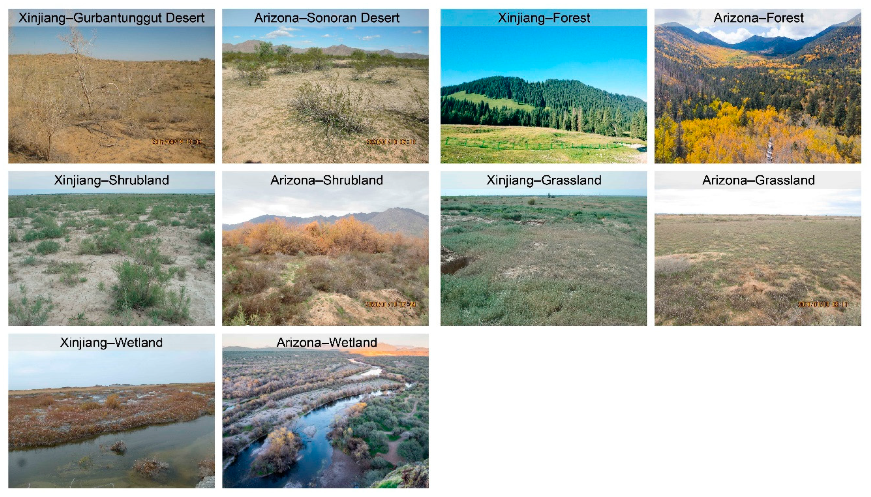 Remotesensing 12 03567 g001