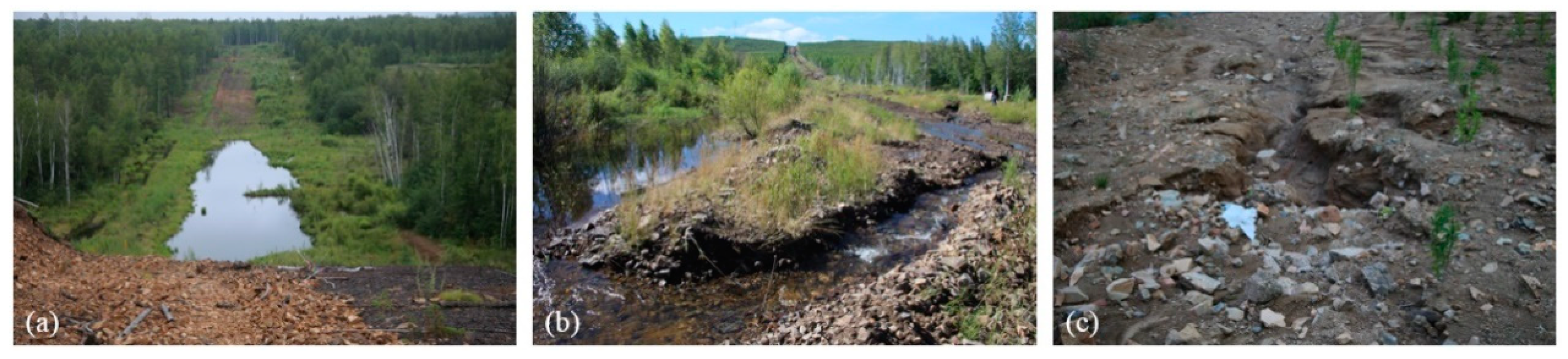 Remotesensing 12 03576 g006