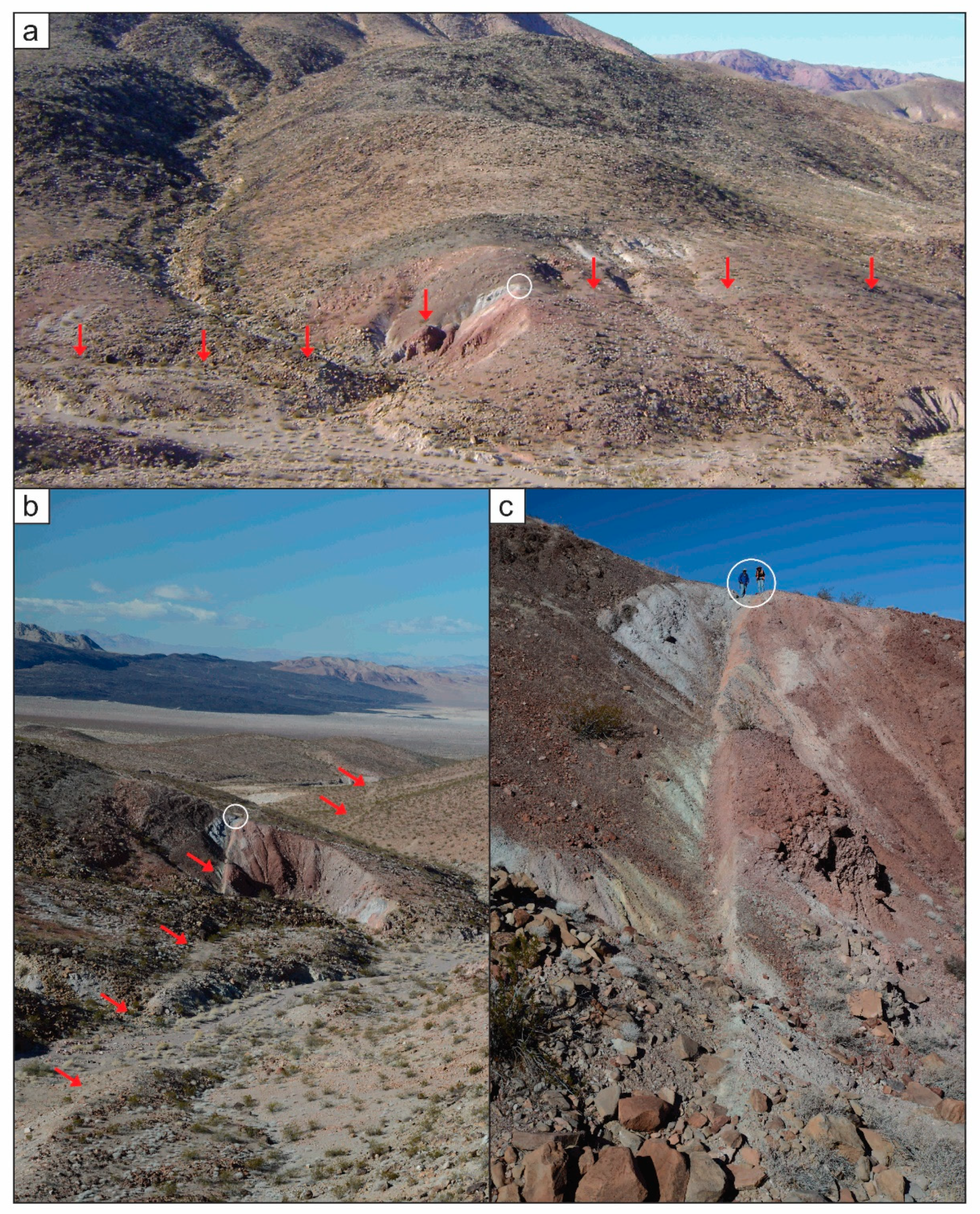 Remotesensing 12 03586 g003