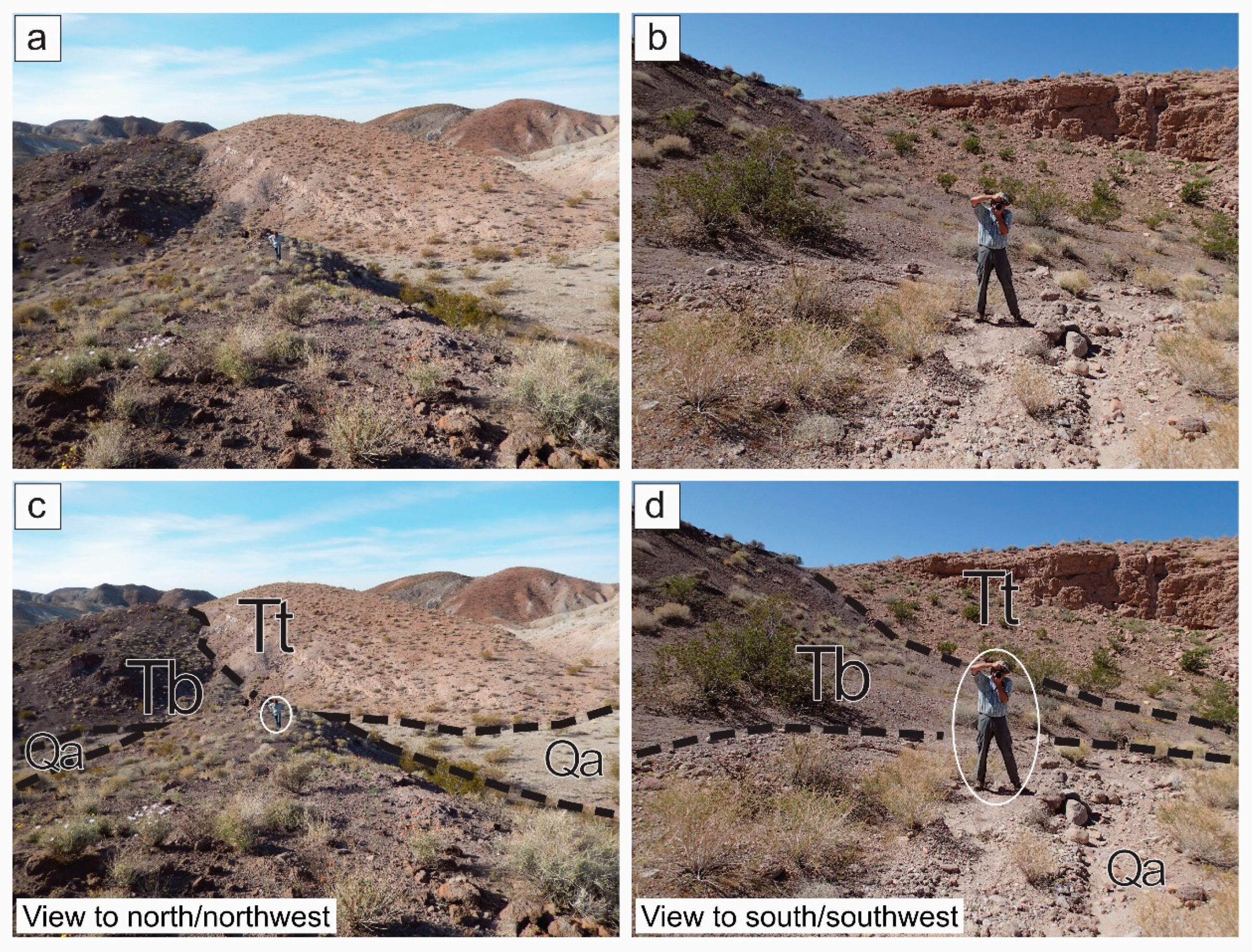 Remotesensing 12 03586 g012