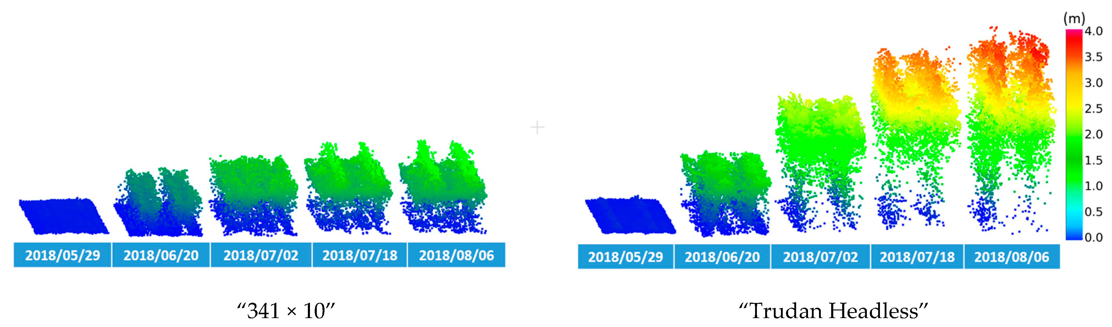 Remotesensing 12 03587 g008