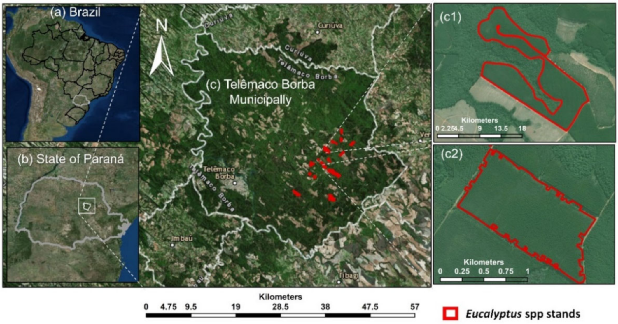 Remotesensing 12 03599 g001