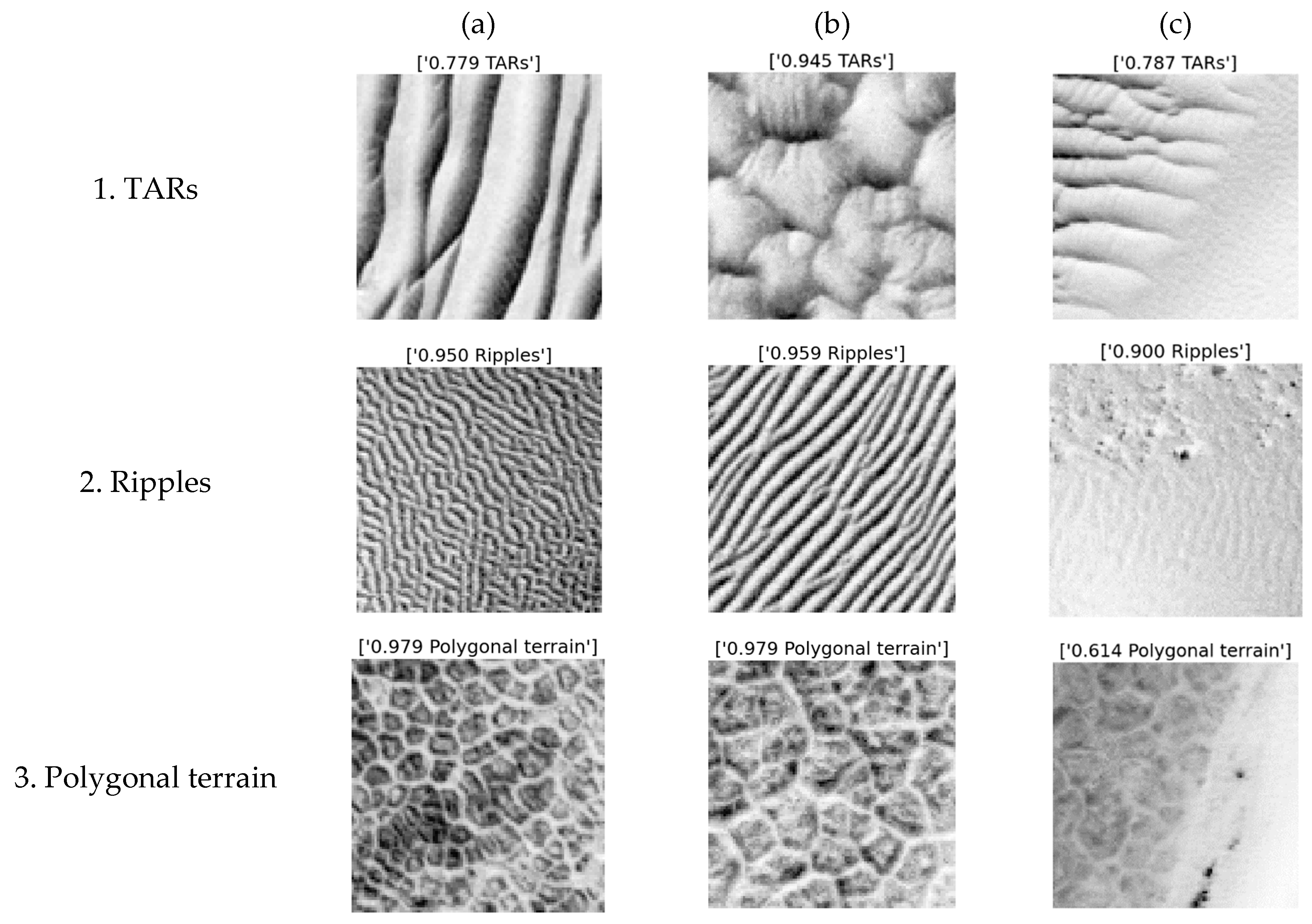 Remotesensing 12 03607 g002