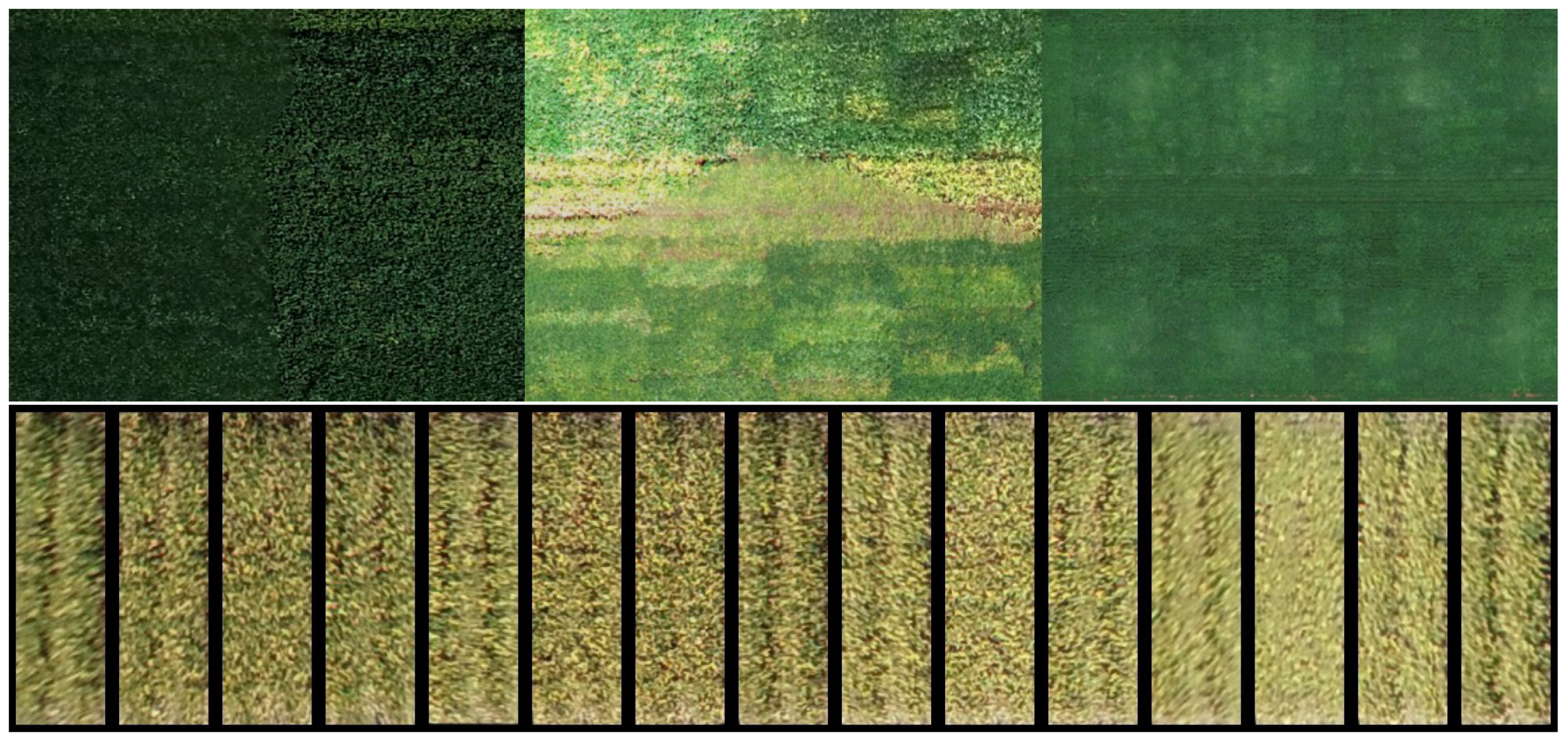 Remotesensing 12 03617 g004