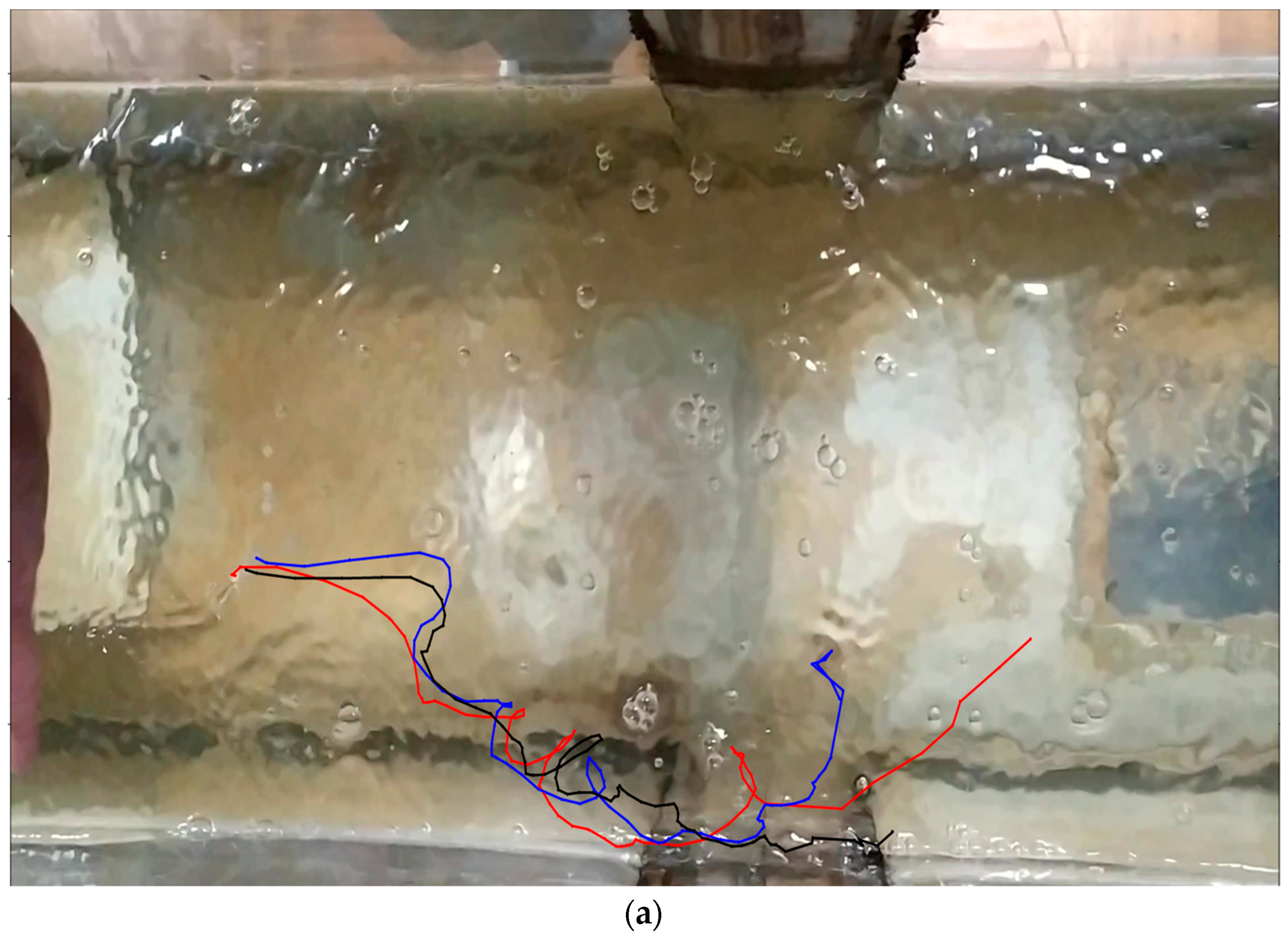 Remotesensing 12 03618 g005a