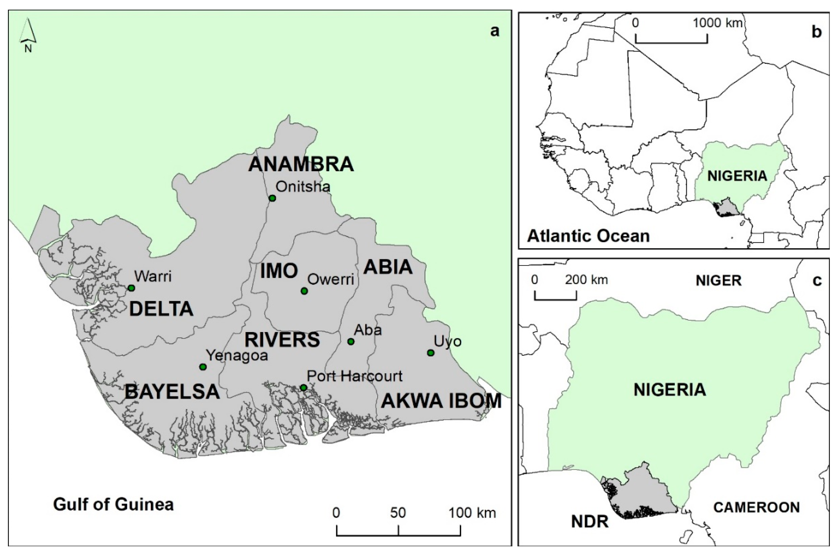 Remotesensing 12 03619 g001