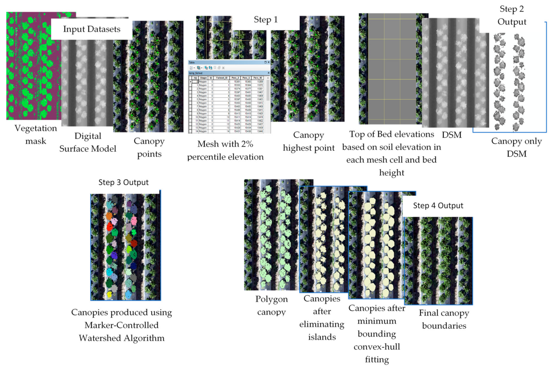 Remotesensing 12 03632 g002