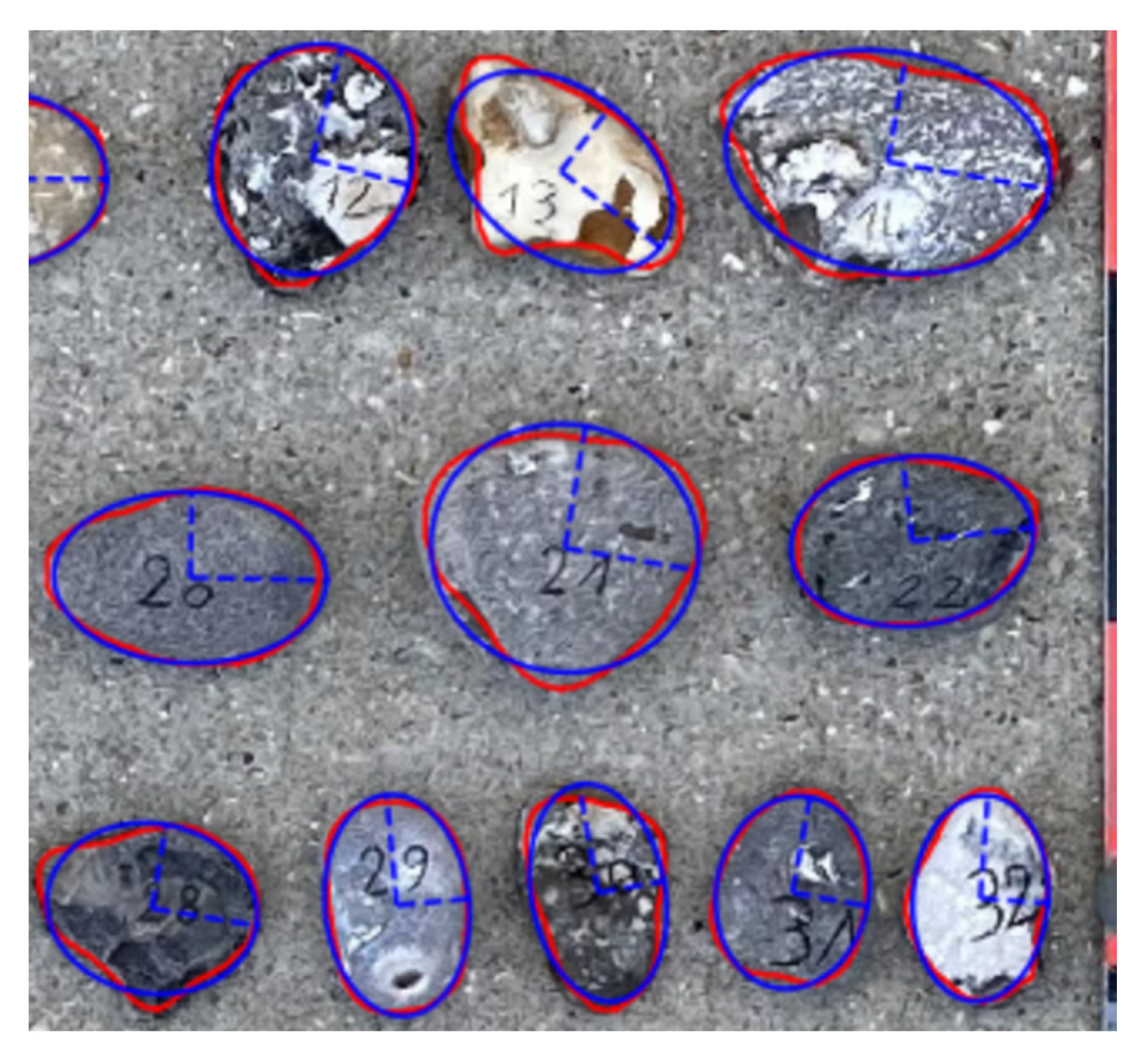 Remotesensing 12 03659 g003